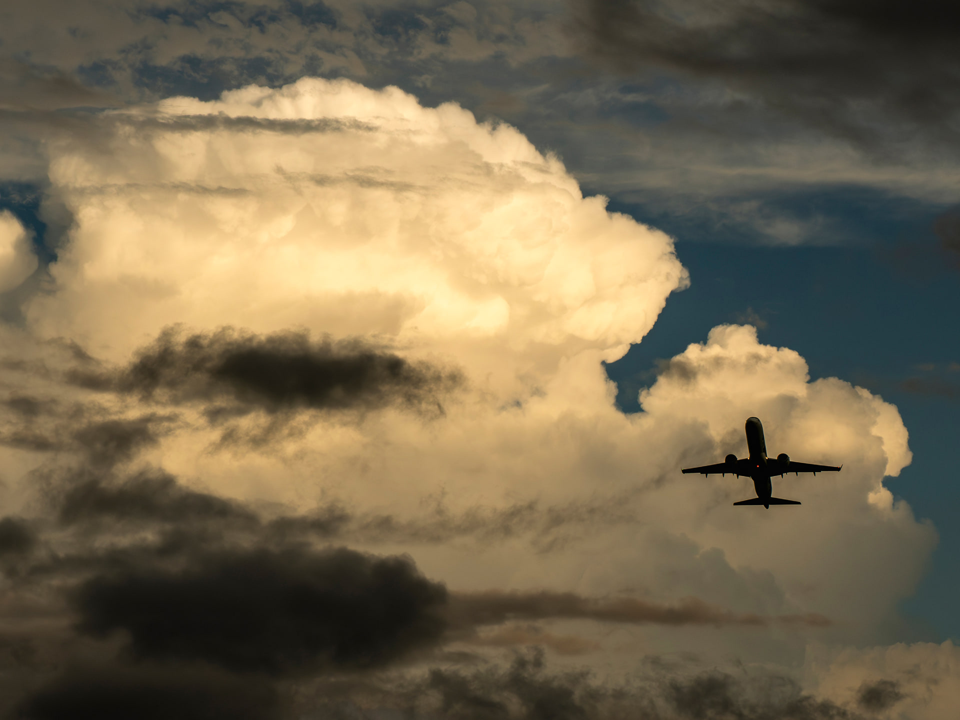 <span class="fnt-85">OM SYSTEM OM-1 Mark II／76mm（152mm相当）／マニュアル露出（F8、1/1,250秒）／ISO 400／WB：オート</span>