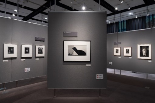 期間中に38,000人を集めた「フジフイルム・フォトコレクションII」の展示風景。2024年の富士フイルムグループ創立90年を記念して行われた