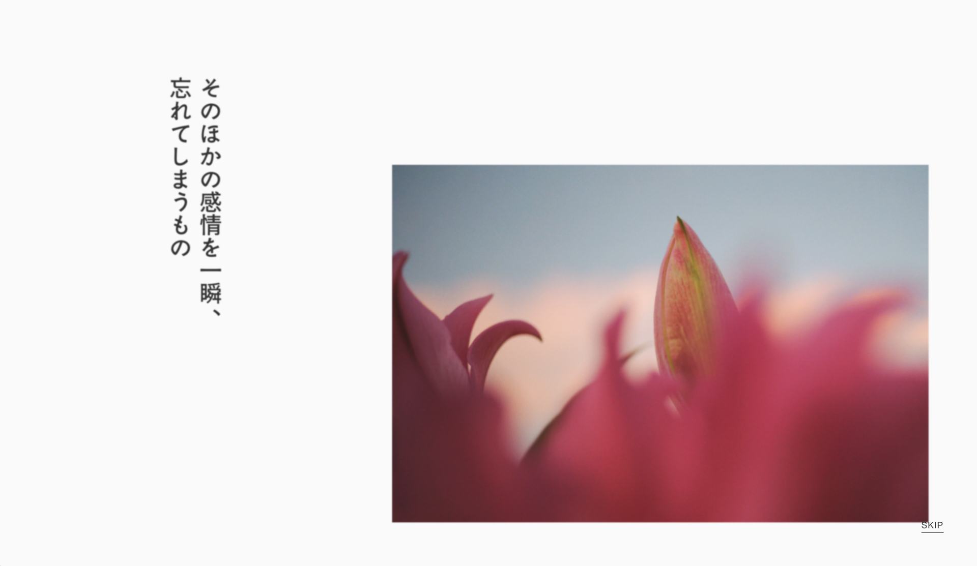 展示作品には、なぜこの写真が「愛おしいか」を解説した言葉も。きっと共感できる作品に出会えるはずだ