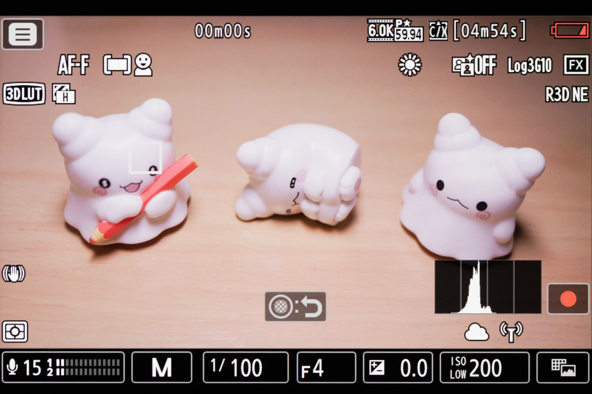 R3D NE設定時のライブビュー。ここではプレビューLUTを適用しているので仕上がりイメージを確認できる