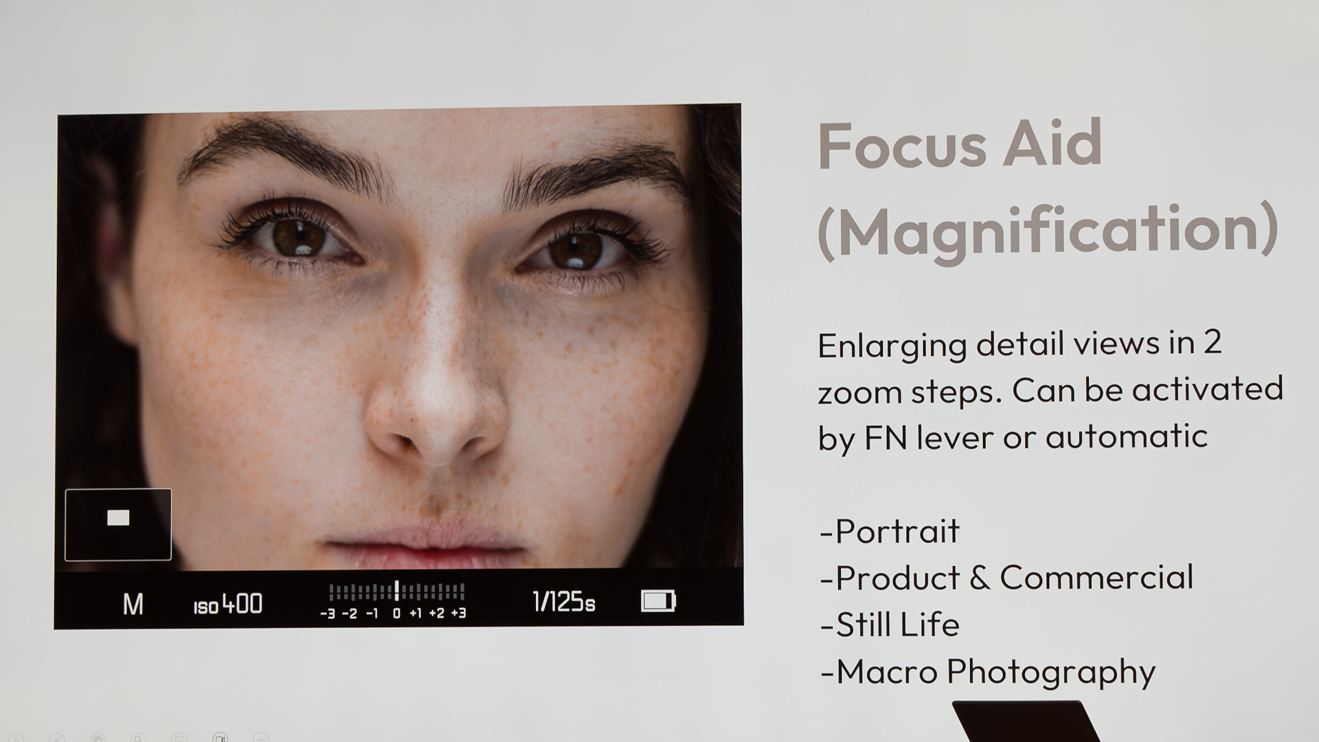 拡大表示機能。拡大倍率は2段階から選べる