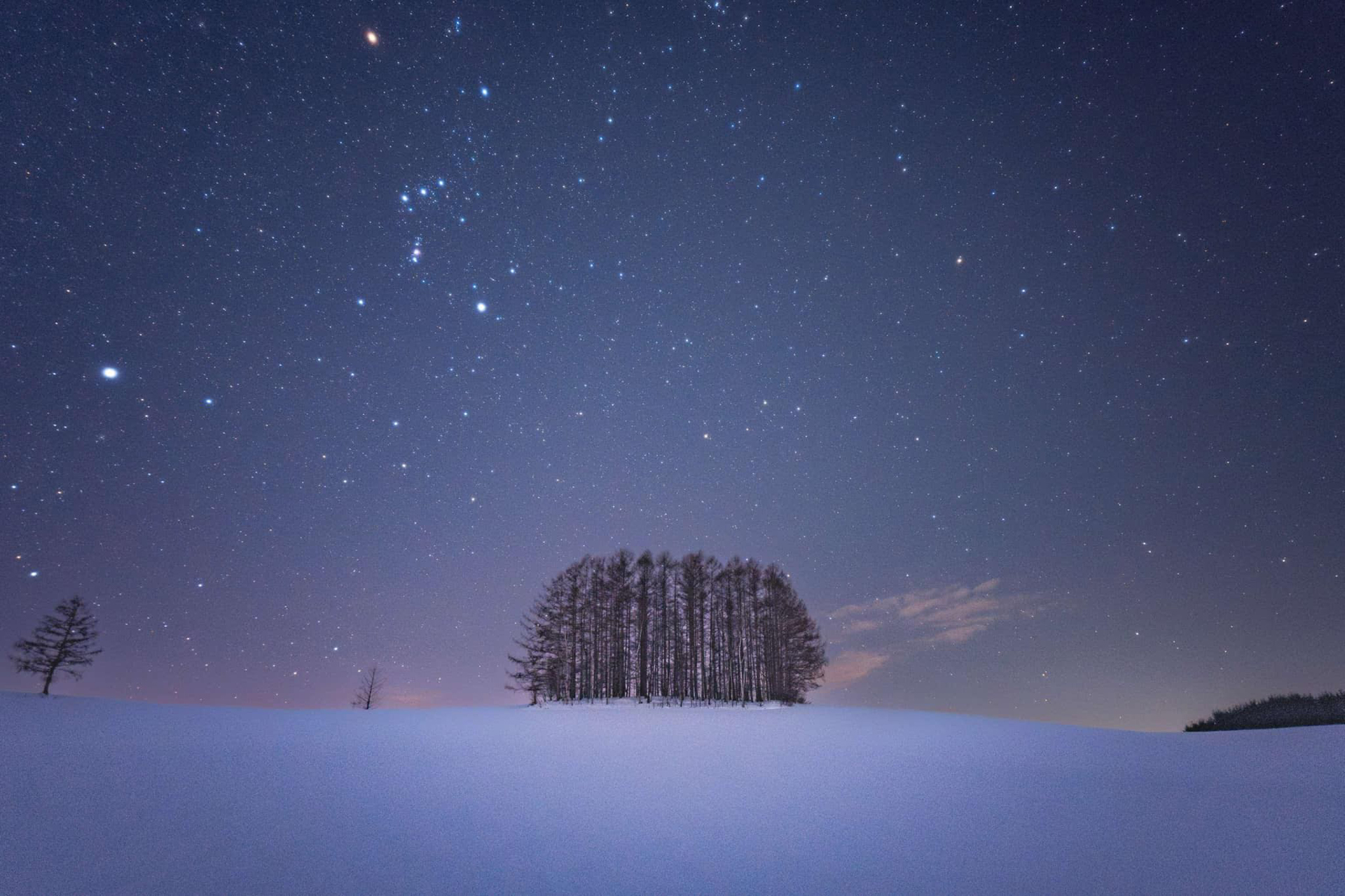 提供：ロカユニバーサルデザイン株式会社