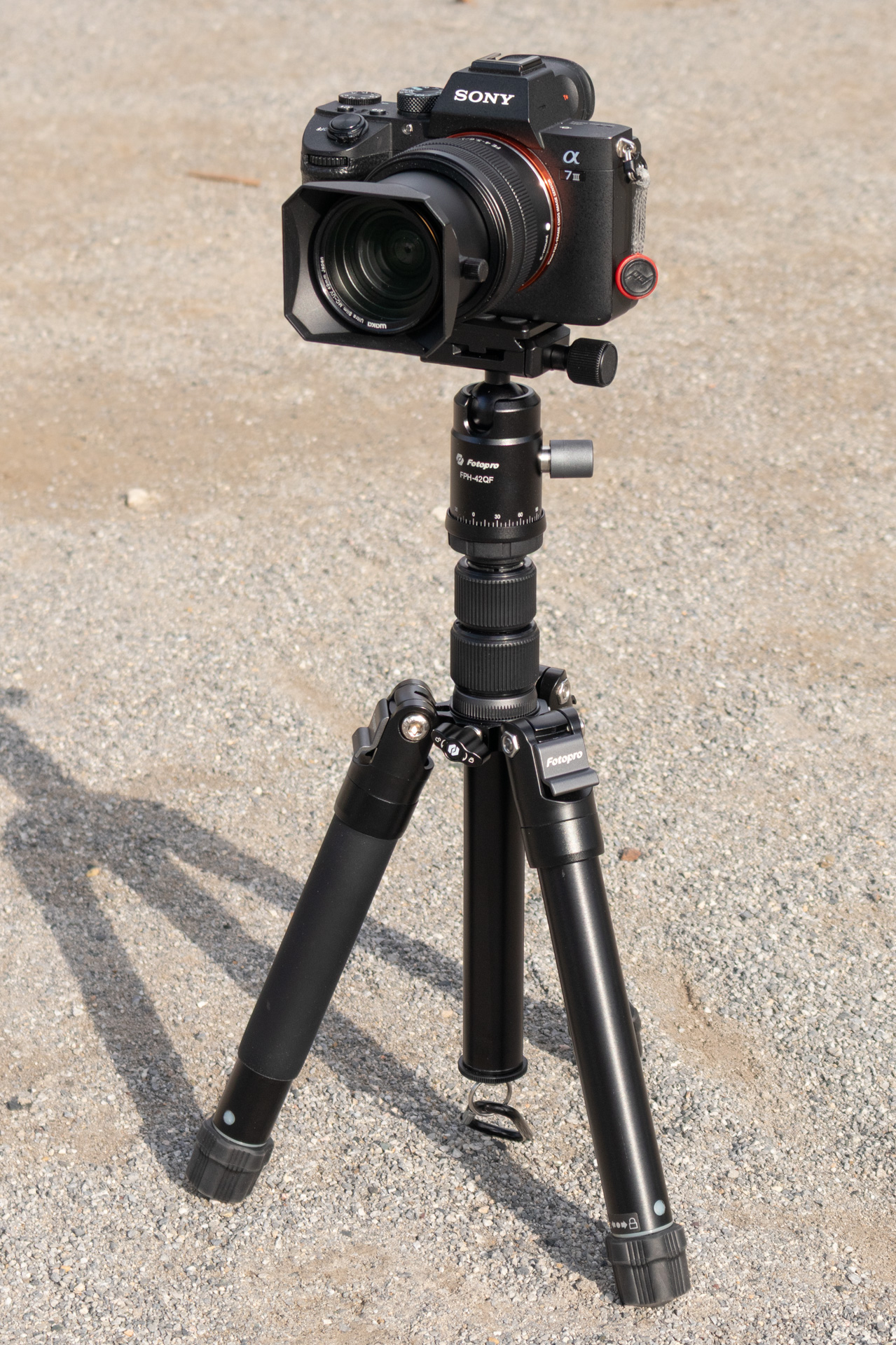 低いセッティング。バッグなどを吊せるカラビナも付属していた