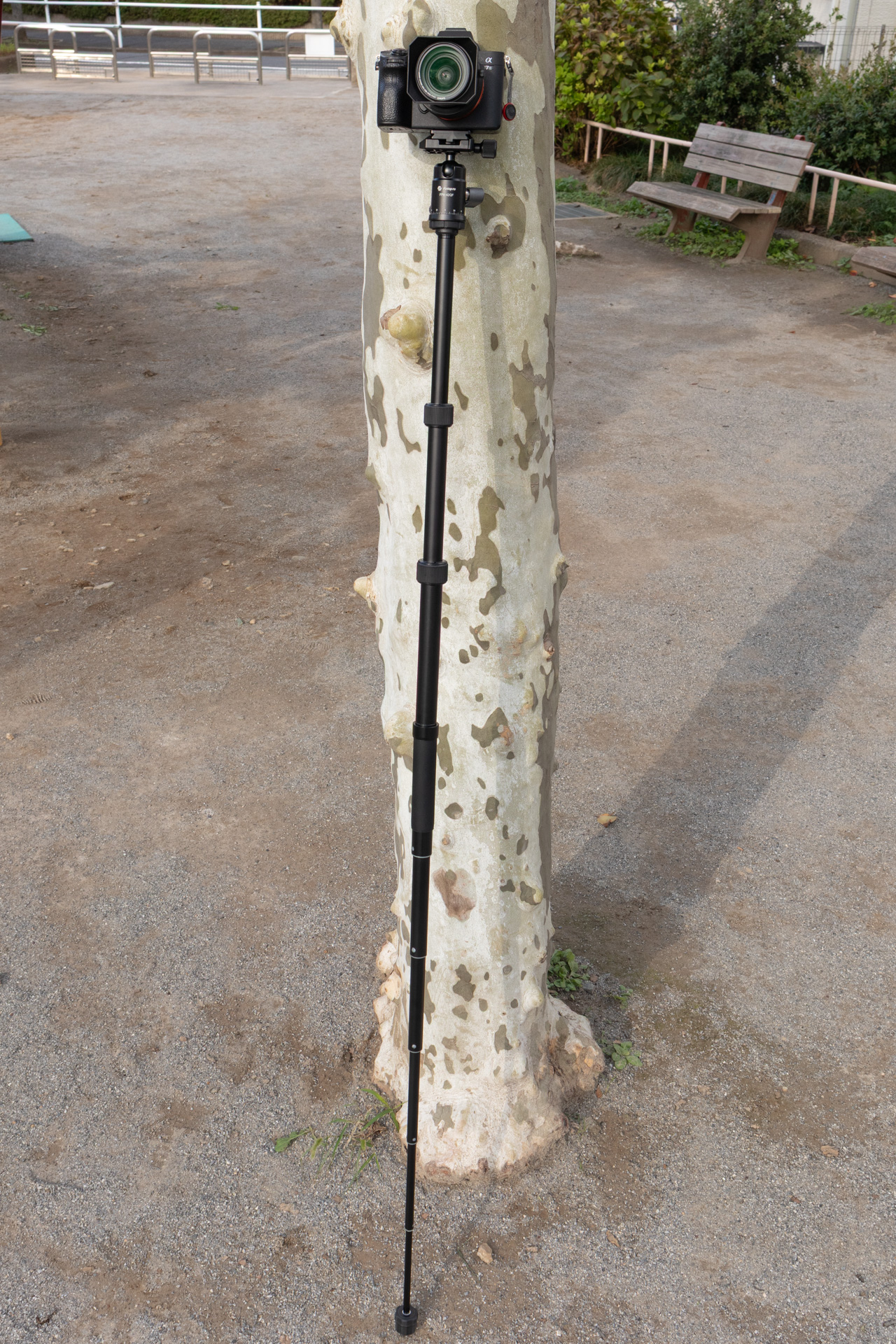 一脚にしたところ