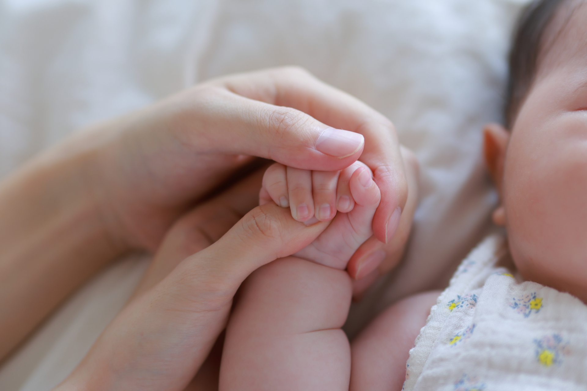 提供：キヤノンマーケティングジャパン