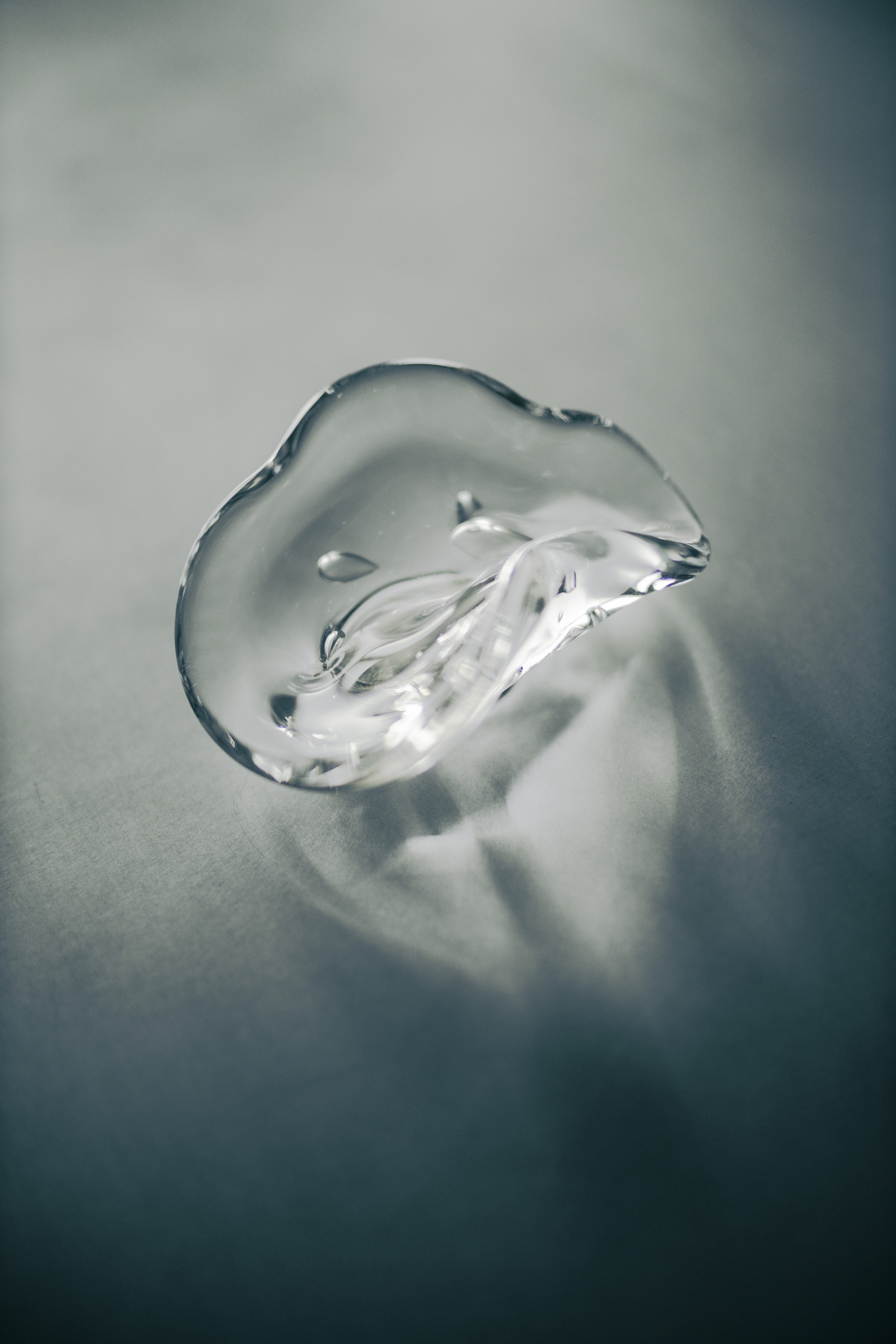 提供：キヤノンマーケティングジャパン