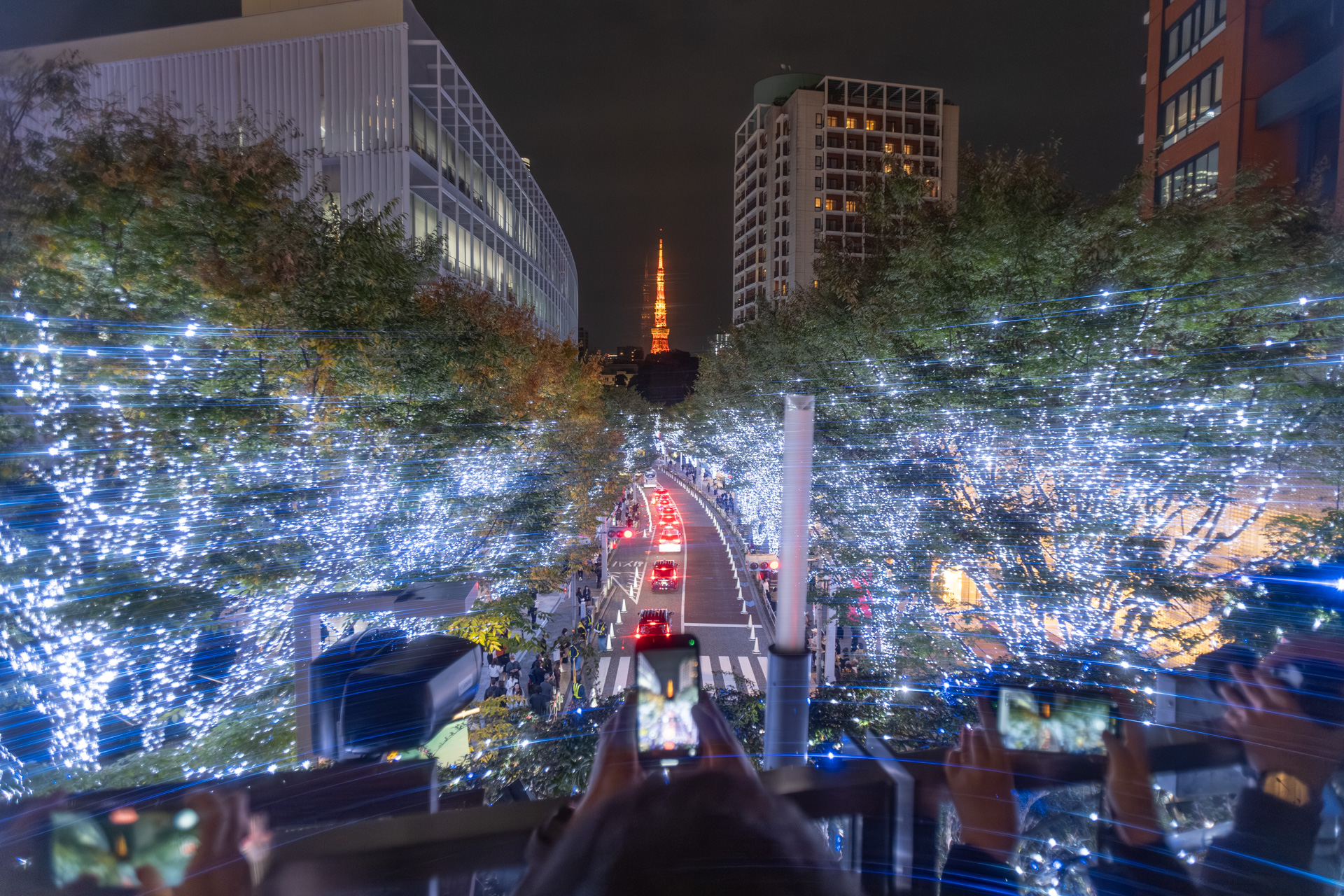 撮影スポット「けやき坂連絡ブリッジ」からの眺め