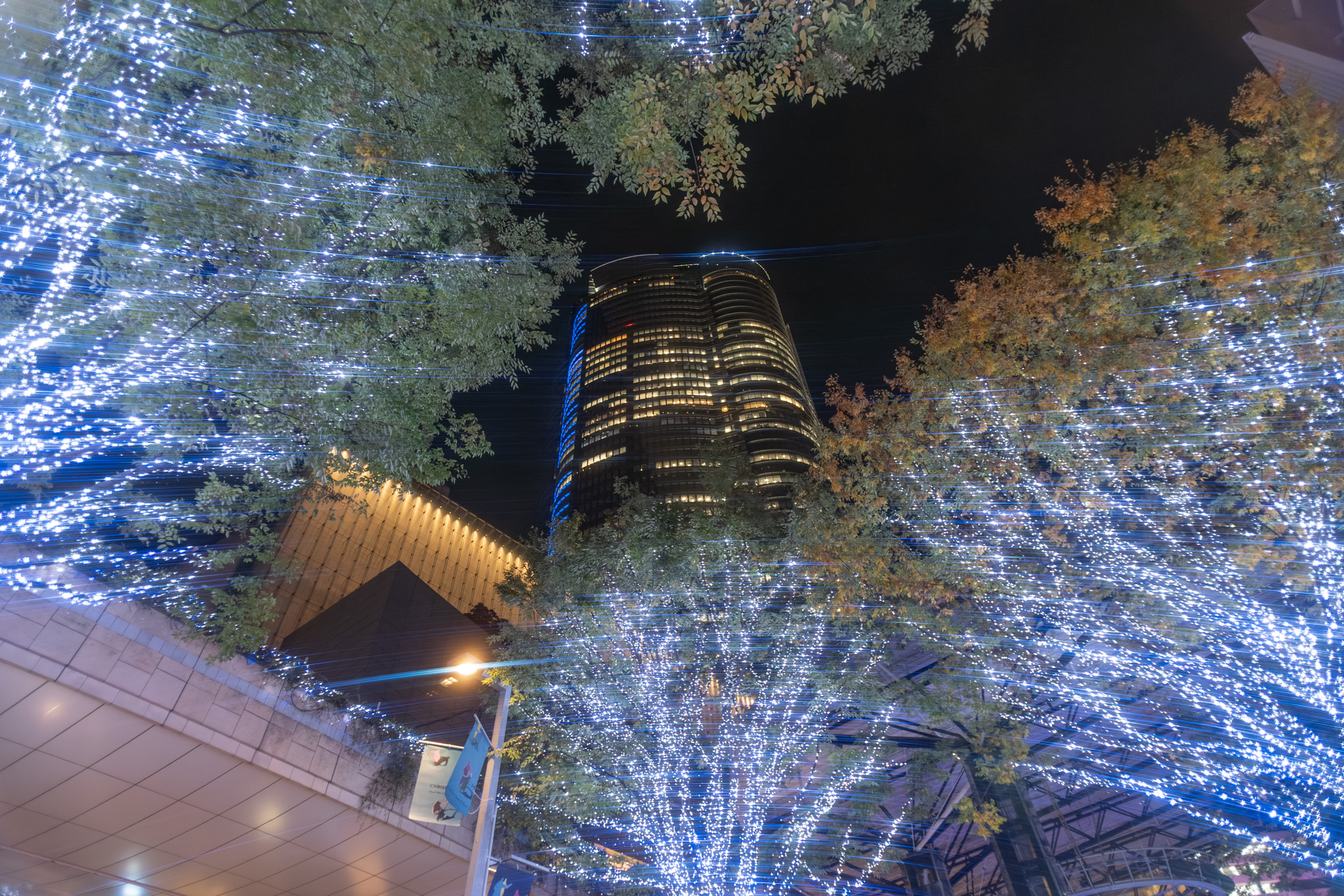 森タワーを望む