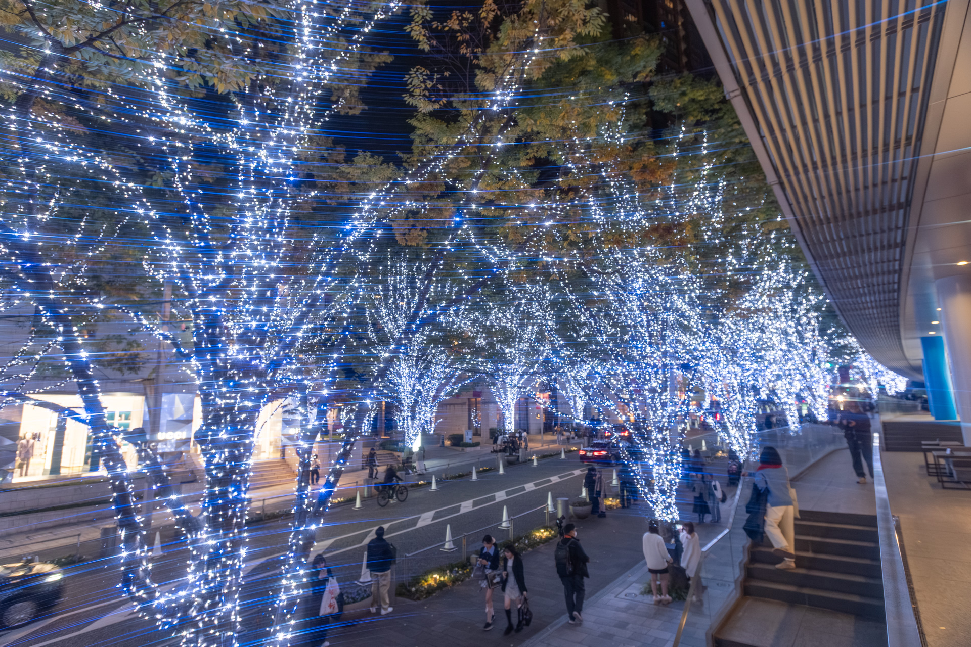 テレビ朝日側からの眺め