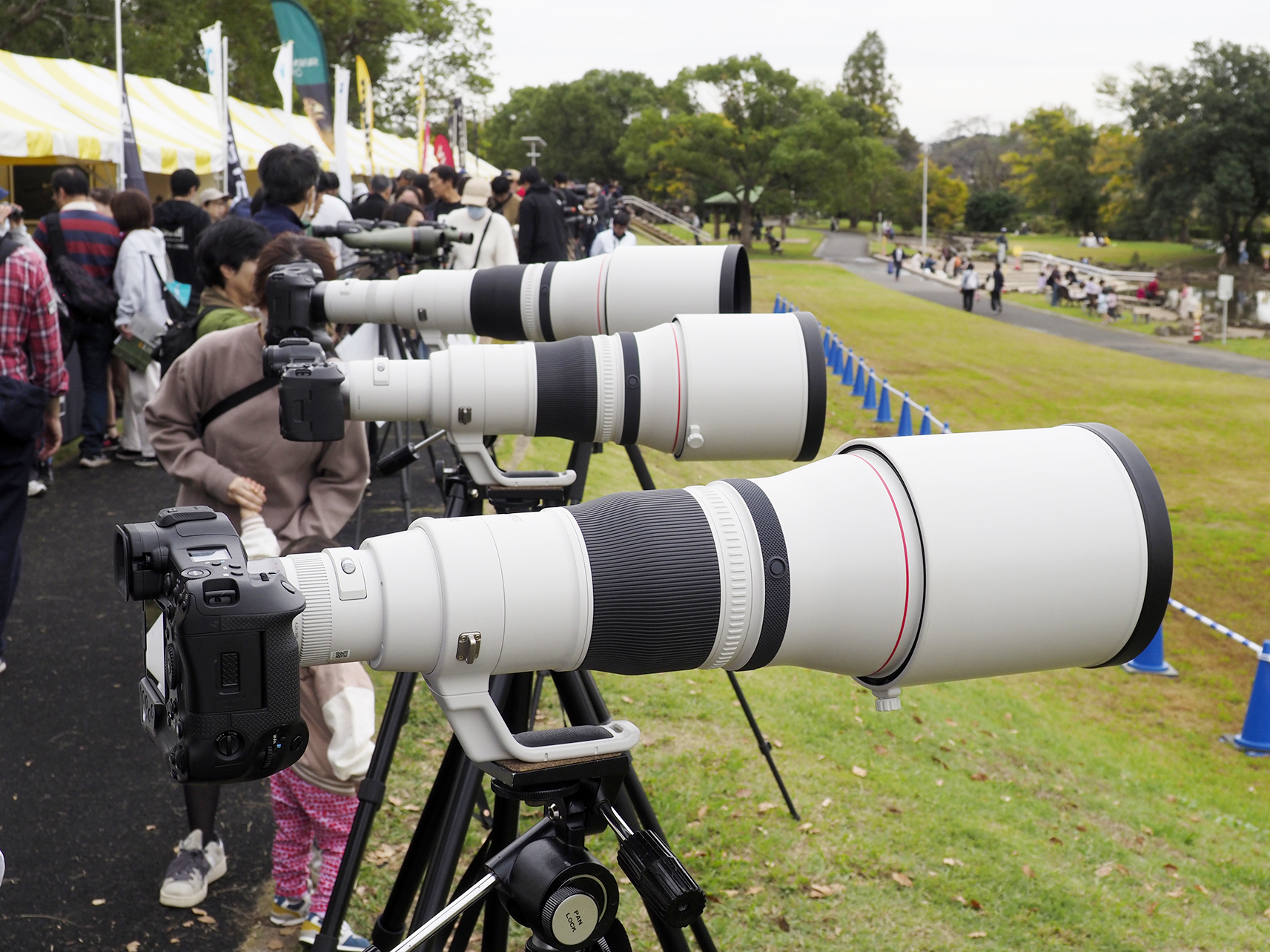超望遠レンズ「RF600mm F4 L IS USM」「RF800mm F5.6 L IS USM」「RF1200mm F8 L IS USM」が並ぶ
