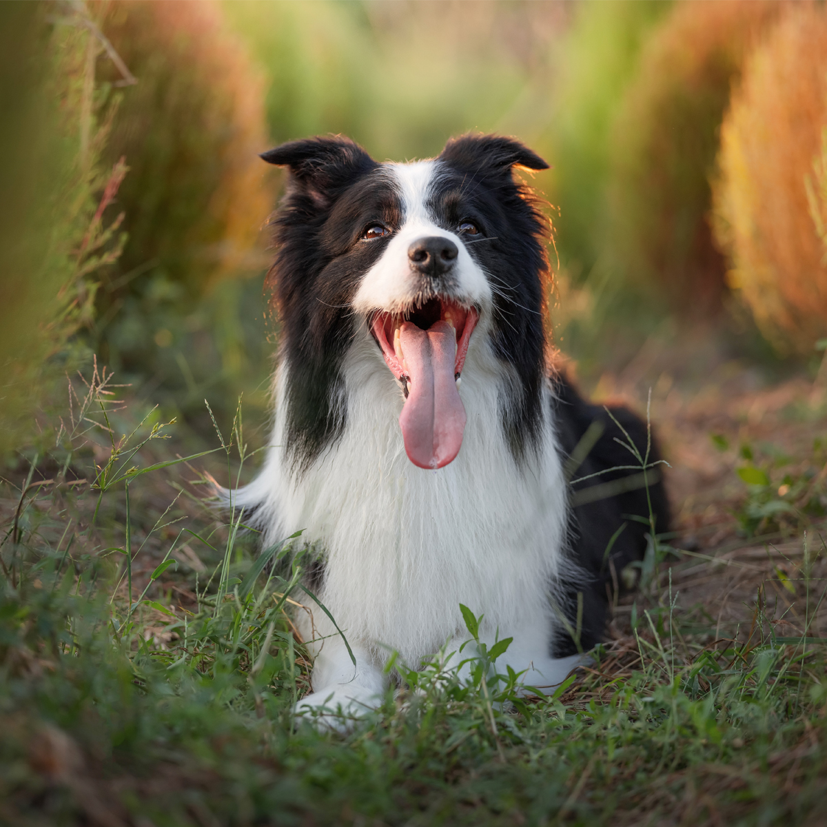 撮影イメージ（提供：映像嵐株式会社）