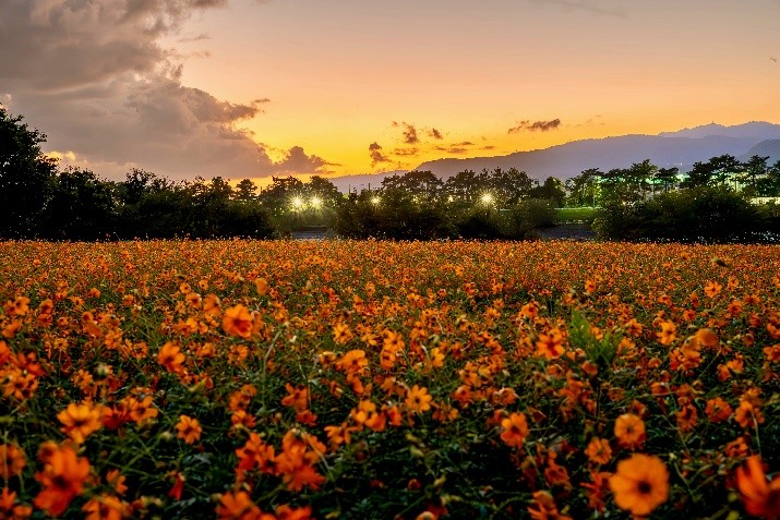 フォトコンテスト2024 最優秀賞作品