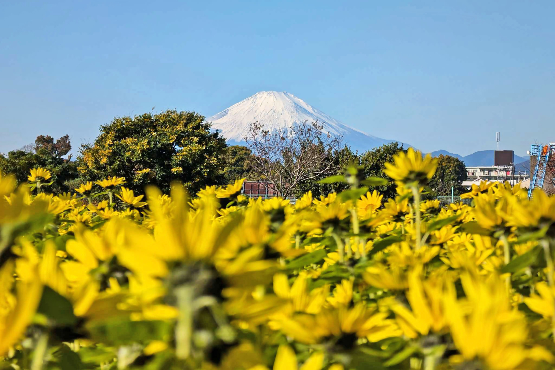 川とのふれあい公園