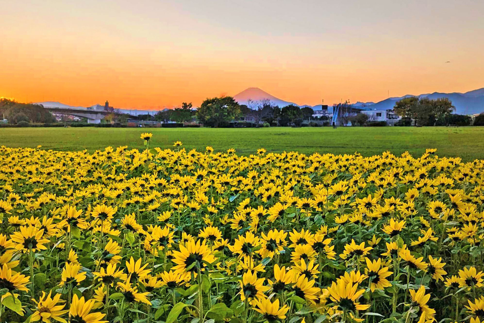 川とのふれあい公園