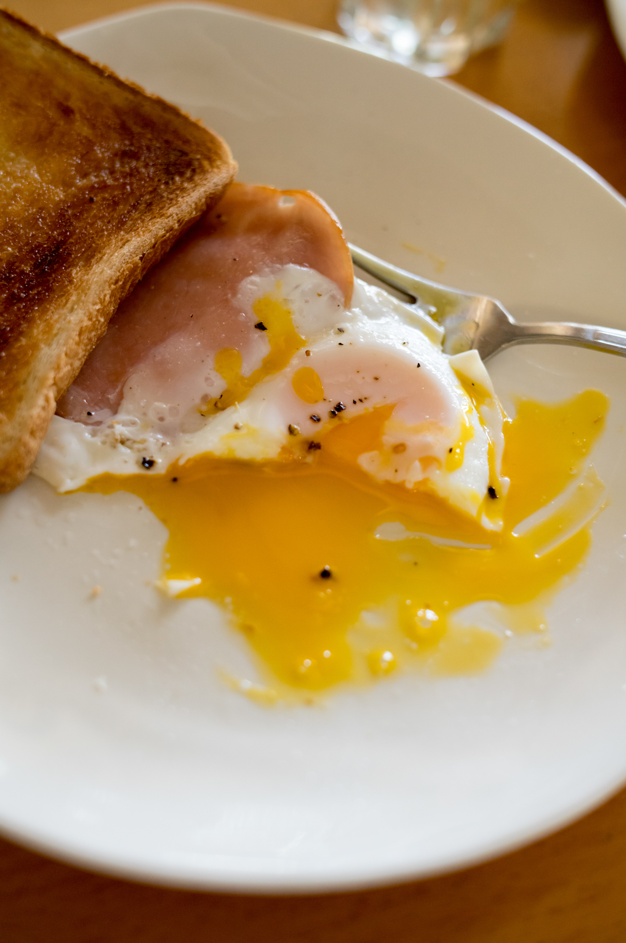 朝食の目玉焼きを食べている途中に撮影した。EVFをのぞいているとその構造からか、さまざまな近接撮影にトライしたくなる。料理や花、水の表面のような被写体に対しての表現の可能性が広がると感じた<br><span class="fnt-85">ライカM EV1／ライカ ズミルックスM f1.4/50mm ASPH.／50mm／絞り優先AE（F5.6、1/200秒、±0EV）／ISO 1600／WB：オート</span>