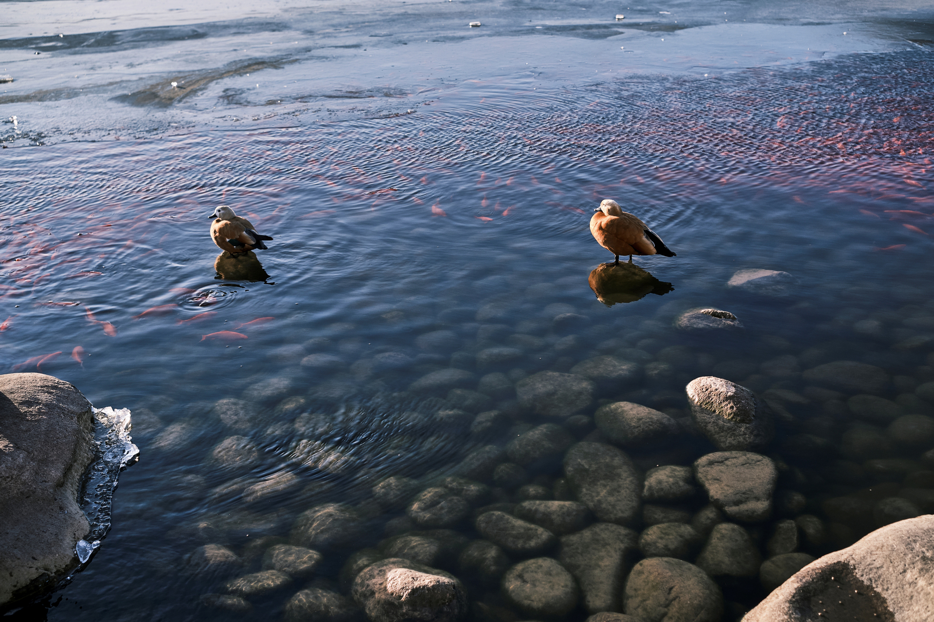 サンプルフォト（株式会社焦点工房提供）