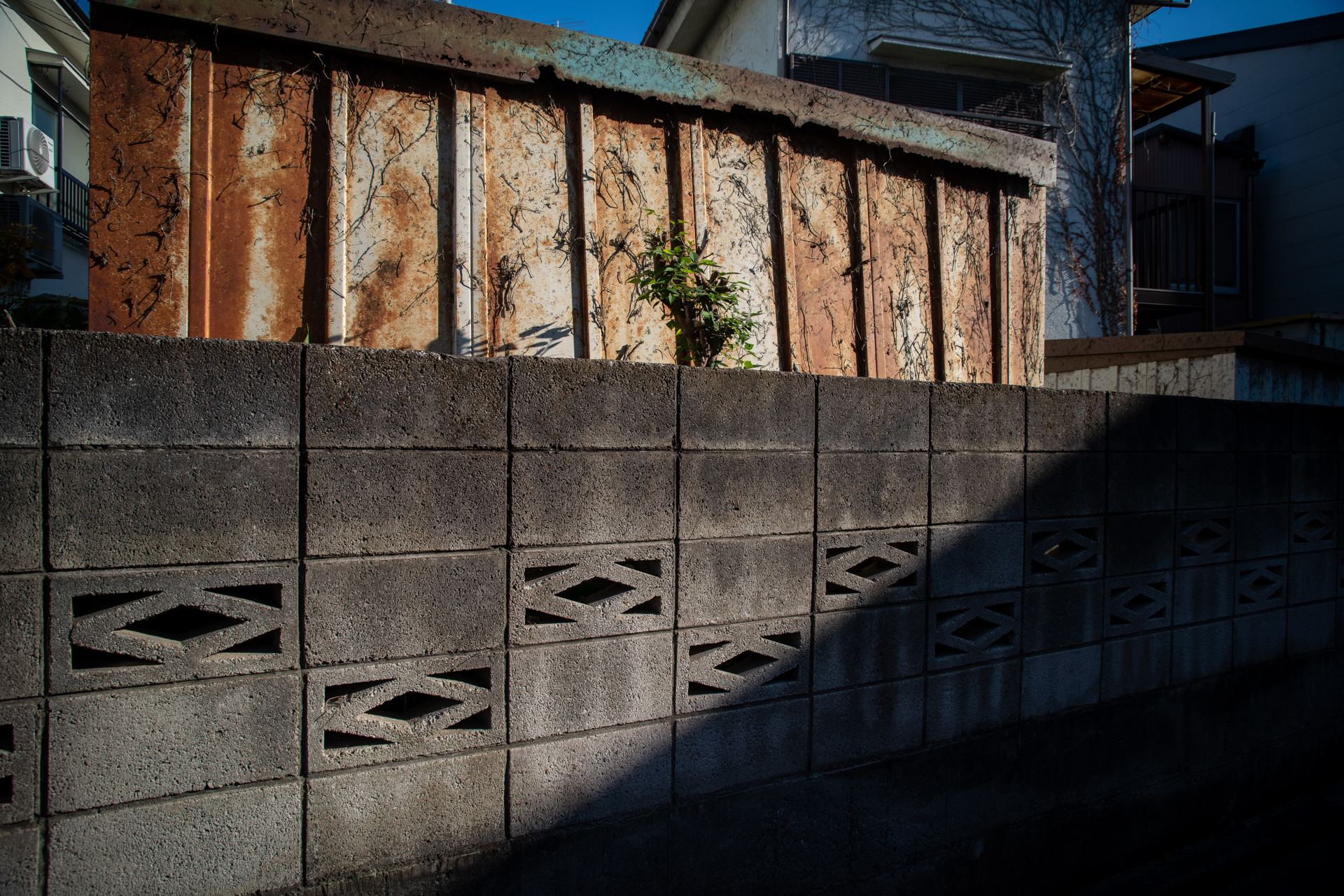 ボディ内での収差補正は行われていないのにこの写りはたまらないですね。明るさを欲張らなかったことも正解だったのかも。<br><span class="fnt-85">PENTAX K-1 Mark II／smc PENTAX-FA 24-90mm F3.5-4.5 AL[IF]／24mm／絞り優先AE（1/800秒、F8.0、−0.7EV）／ISO 400</span>