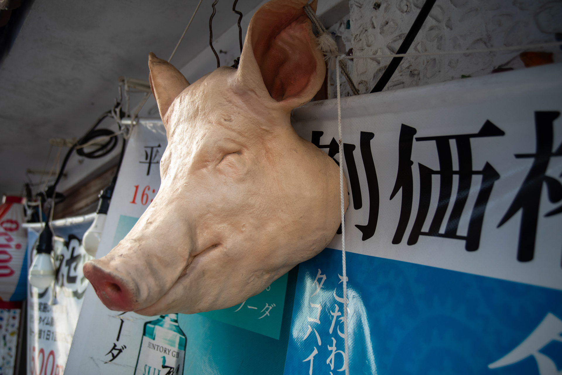 焼肉屋さんの飾りの豚の首。高いところにありましたので、手を頭の上に伸ばし、ライブビューに切り替えてフレーミングして撮影しています。PENTAX一眼レフは光学と電子のハイブリッドビューファインダー搭載カメラと考えています。<br><span class="fnt-85">PENTAX K-1 Mark II／smc PENTAX-FA 24-90mm F3.5-4.5 AL[IF]／38mm／絞り優先AE（1/200秒、F5.0、−0.7EV）／ISO 400</span>