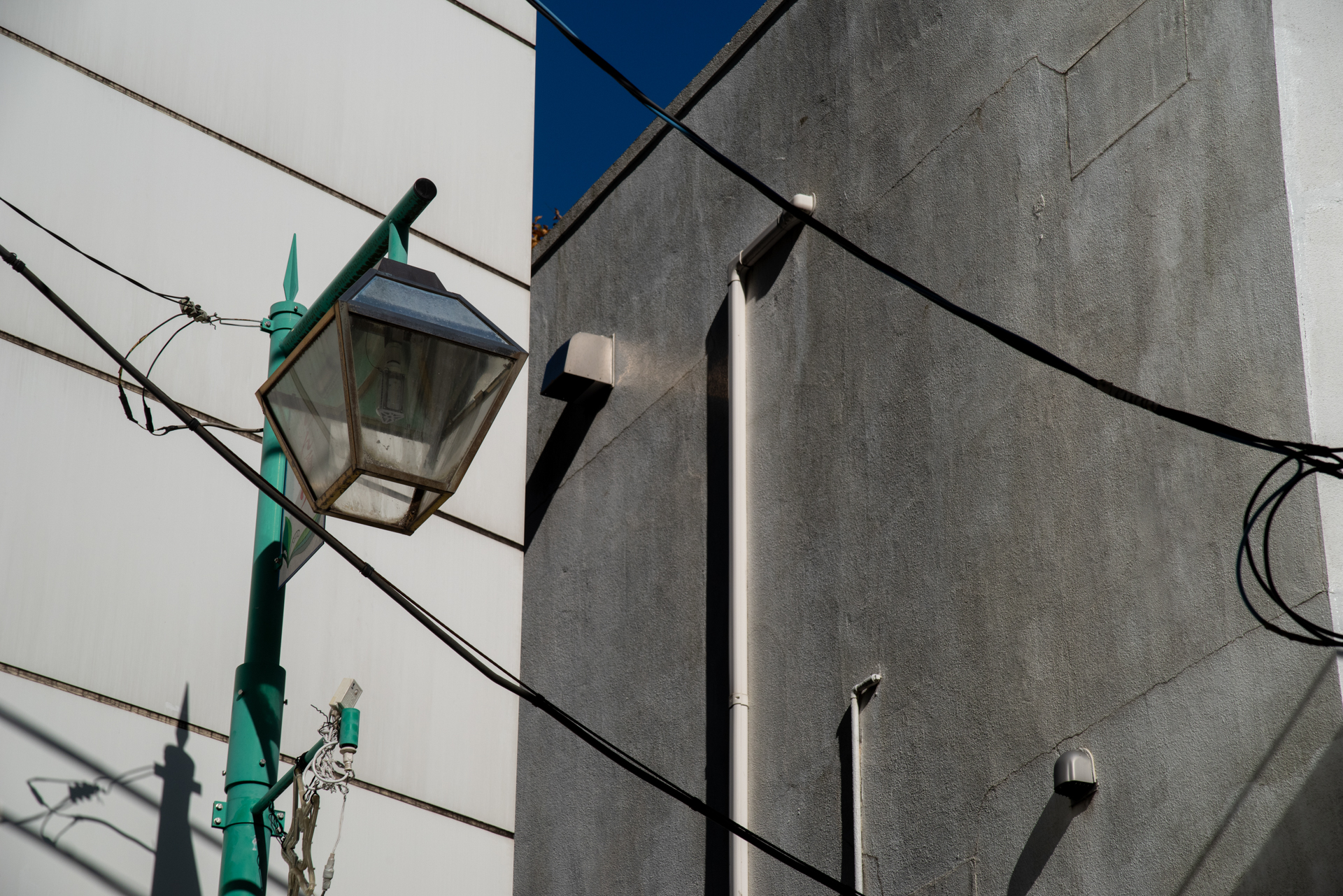 描写に厚みを感じるレンズですが、ボディの画と相性よく表現しているという印象です。<br><span class="fnt-85">PENTAX K-1 Mark II／smc PENTAX-FA 24-90mm F3.5-4.5 AL[IF]／90mm／絞り優先AE（1/1,250秒、F11、±0.0EV）／ISO 400</span>