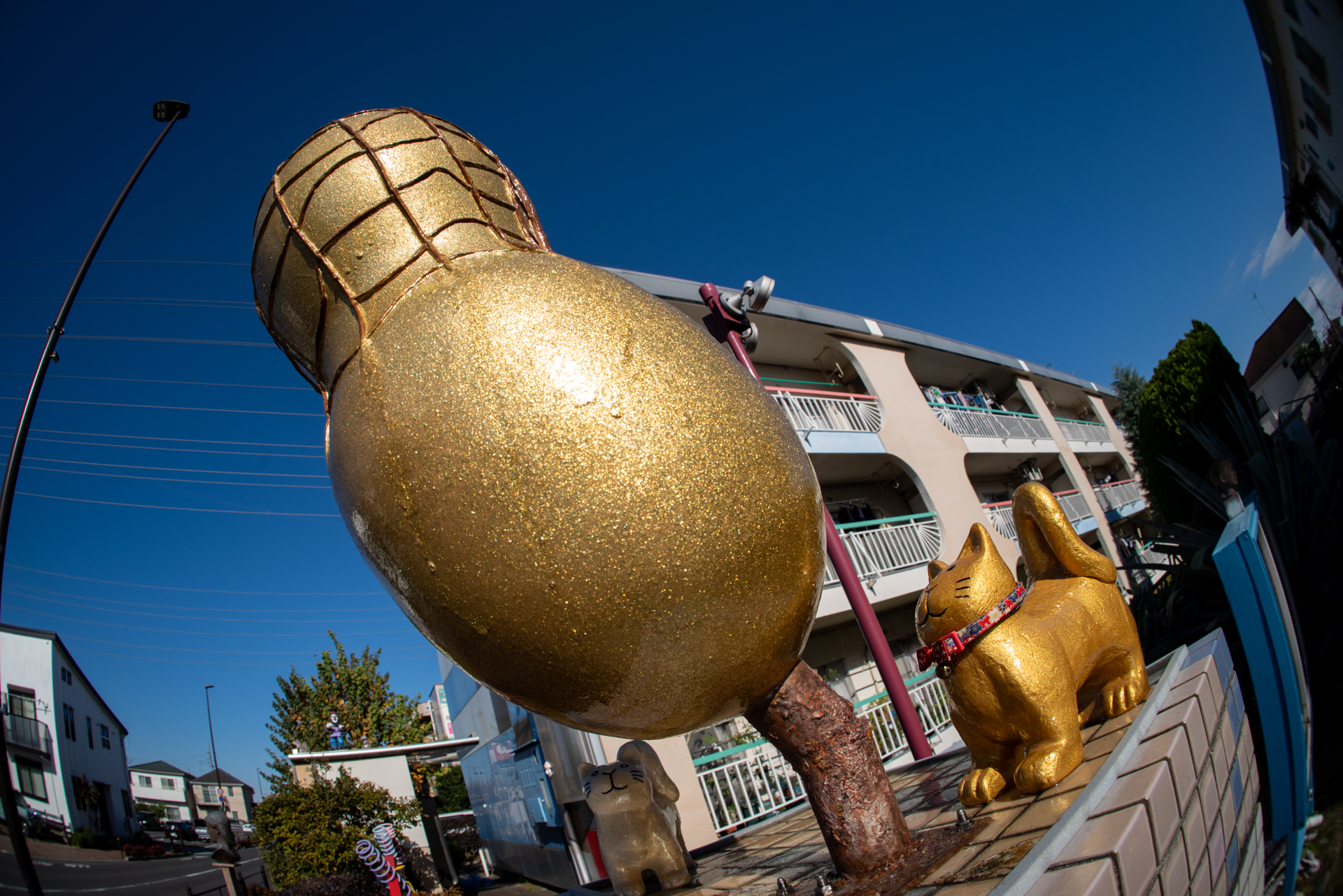 フィッシュアイはなんだかんだで画像が歪曲するのが楽しく、それに溺れロクな写真にはならないものです。じゃあ被写体自体が曲線の多いものを撮影したらどうなるのかということで挑戦しました。大した意味はありません（笑）。<br>PENTAX K-1 Mark II／smc PENTAX-F FISH-EYE 17-28mmF3.5-4.5／17mm／絞り優先AE（1/500秒、F9.0）／ISO 200|@@