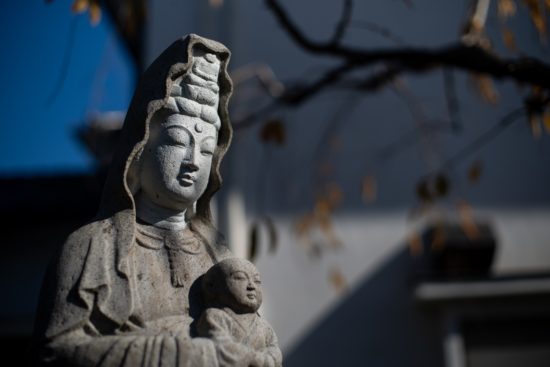 Kマウントになって初の50mmF1.4レンズで撮影しました。少し大きく見えるのはフィルターアタッチメントがタクマー50mmF1.4の49mmから52mmになったからではないかと。あとは鏡筒のデザインとマウント径の違いですね。開放値近辺の絞りでは少々レトロな描写ですが、現代でも通用します。<br>PENTAX K-1 Mark II／SMC PENTAX 50mm F1.4／50mm／マニュアル露出（1/6,400秒、F2.0）／ISO 100|@@