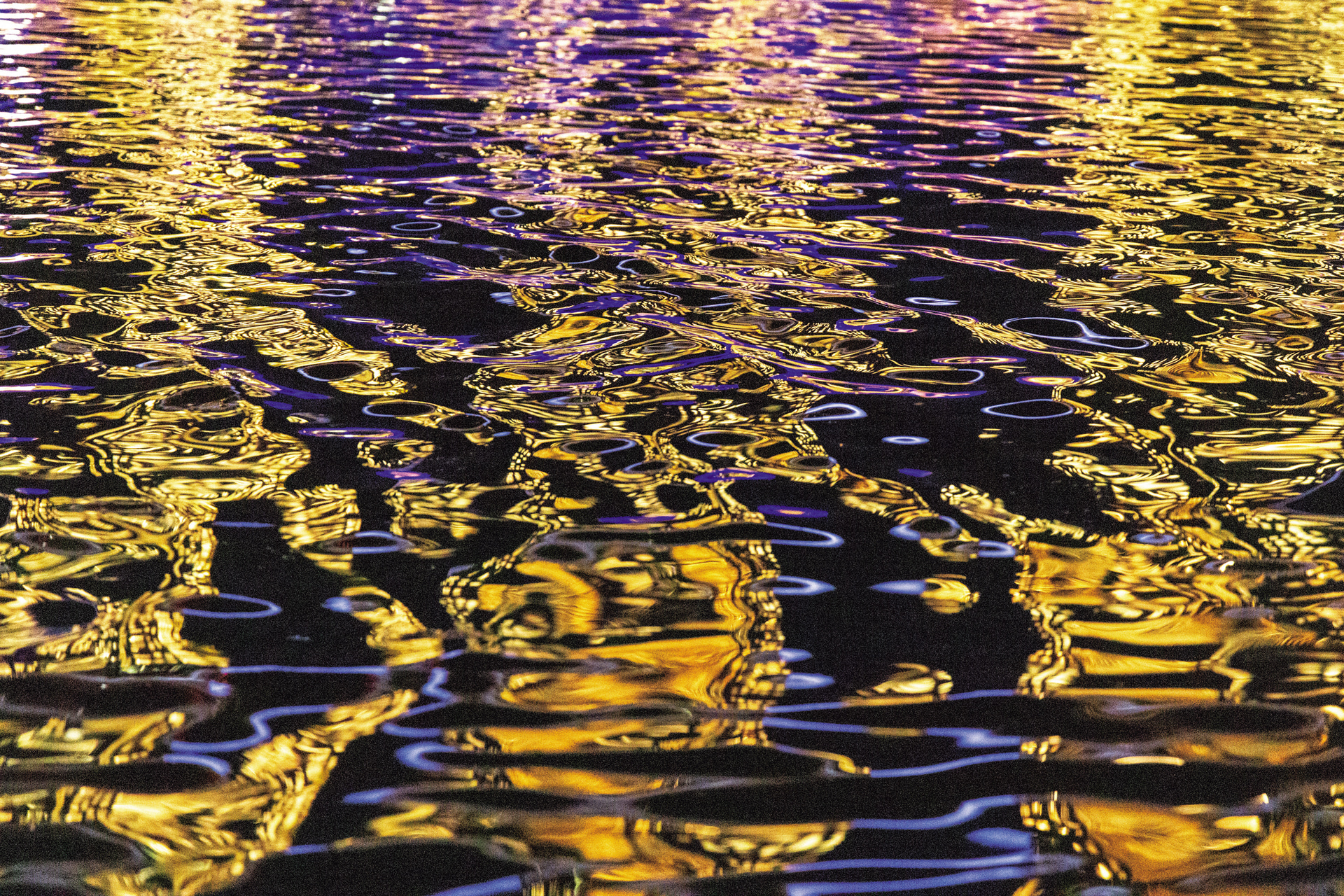 海面のきらめきを写し止めたいと思い、シャッター速度は1/100秒に設定。その分ISO 32000まで上げているが、十分な描写力に驚かされる<br><span class="fnt-85">キヤノン EOS R6 Mark III／RF24-105mm F4 L IS USM／105mm／マニュアル露出（F4、1/100秒）／ISO 32000／WB：オート</span>