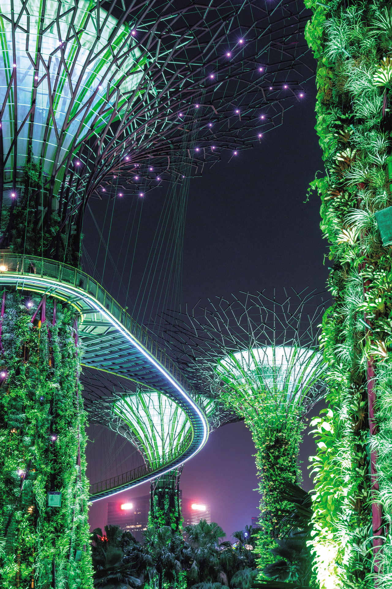 ガーデンズ・バイ・ザ・ベイのライトアップ。シャッター速度は1/2秒だったが、このシーンでも手ブレをすることはなかった<br><span class="fnt-85">キヤノン EOS R6 Mark III／RF24-105mm F4 L IS USM／50mm／マニュアル露出（F8、1/2秒）／ISO 2500／WB：オート</span>