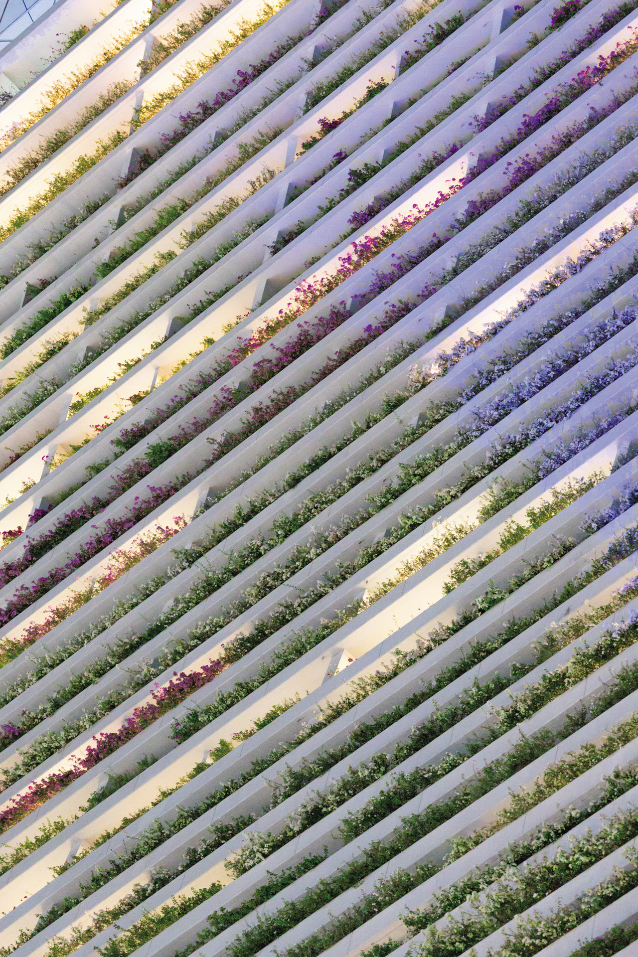 ビルの造形と窓からの光で浮かび上がる花とのコントラストが美しかった。夜でも安心して手持ち撮影できるのは心強い<br><span class="fnt-85">キヤノン EOS R6 Mark III／RF100-400mm F5.6-8 IS USM／149mm／マニュアル露出（F10、1/8秒）／ISO 12800／WB：オート</span>