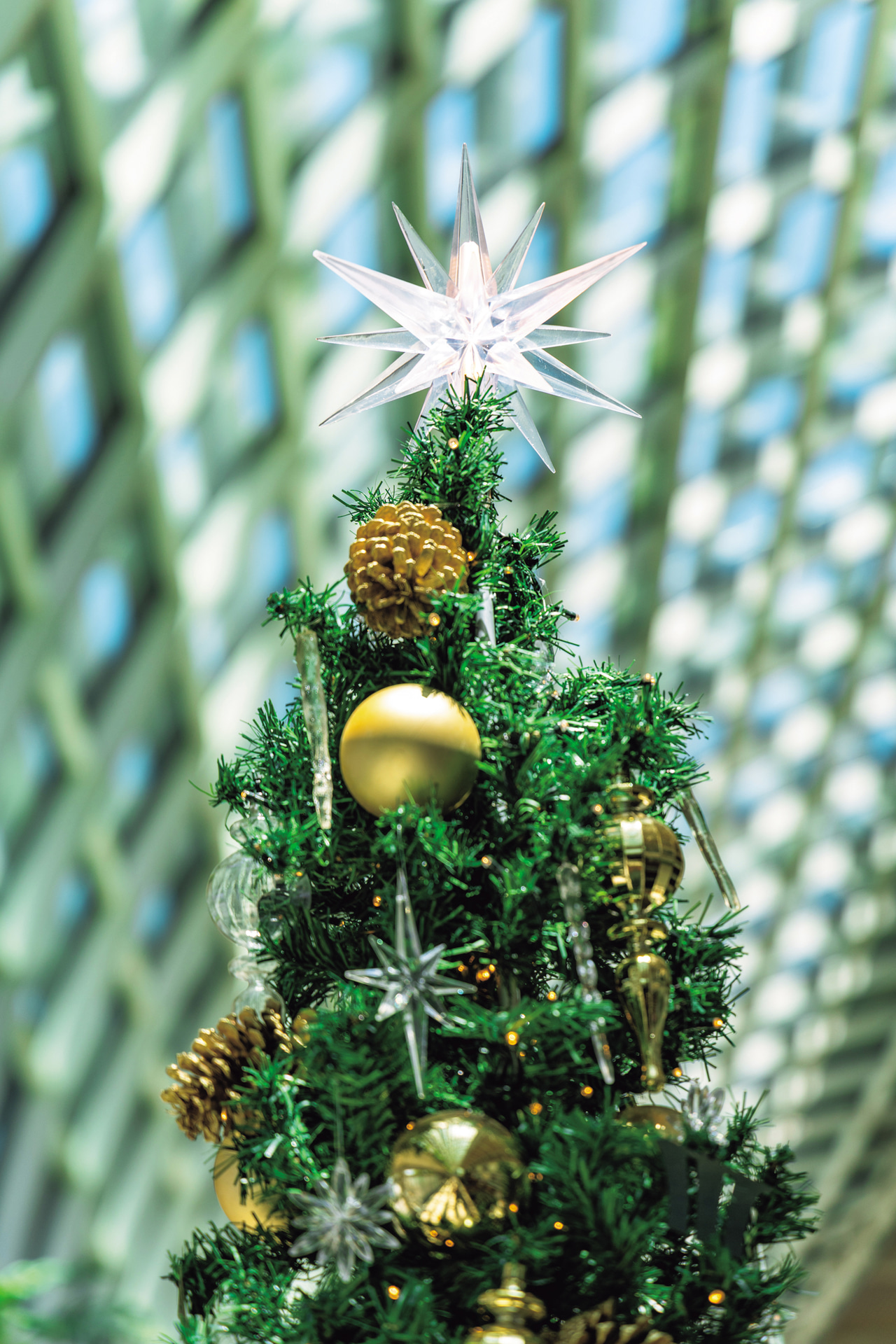 まだ11月だったが、すでに街はクリスマスムード。モールの中にあったクリスマスツリーを特徴的な天井と組み合わせた。ピントの合った部分はシャープで、ボケは自然だ<br><span class="fnt-85">キヤノン EOS R6 Mark III／RF24-105mm F4 L IS USM／105mm／マニュアル露出（F4、1/250秒）／ISO 150／WB：オート</span>