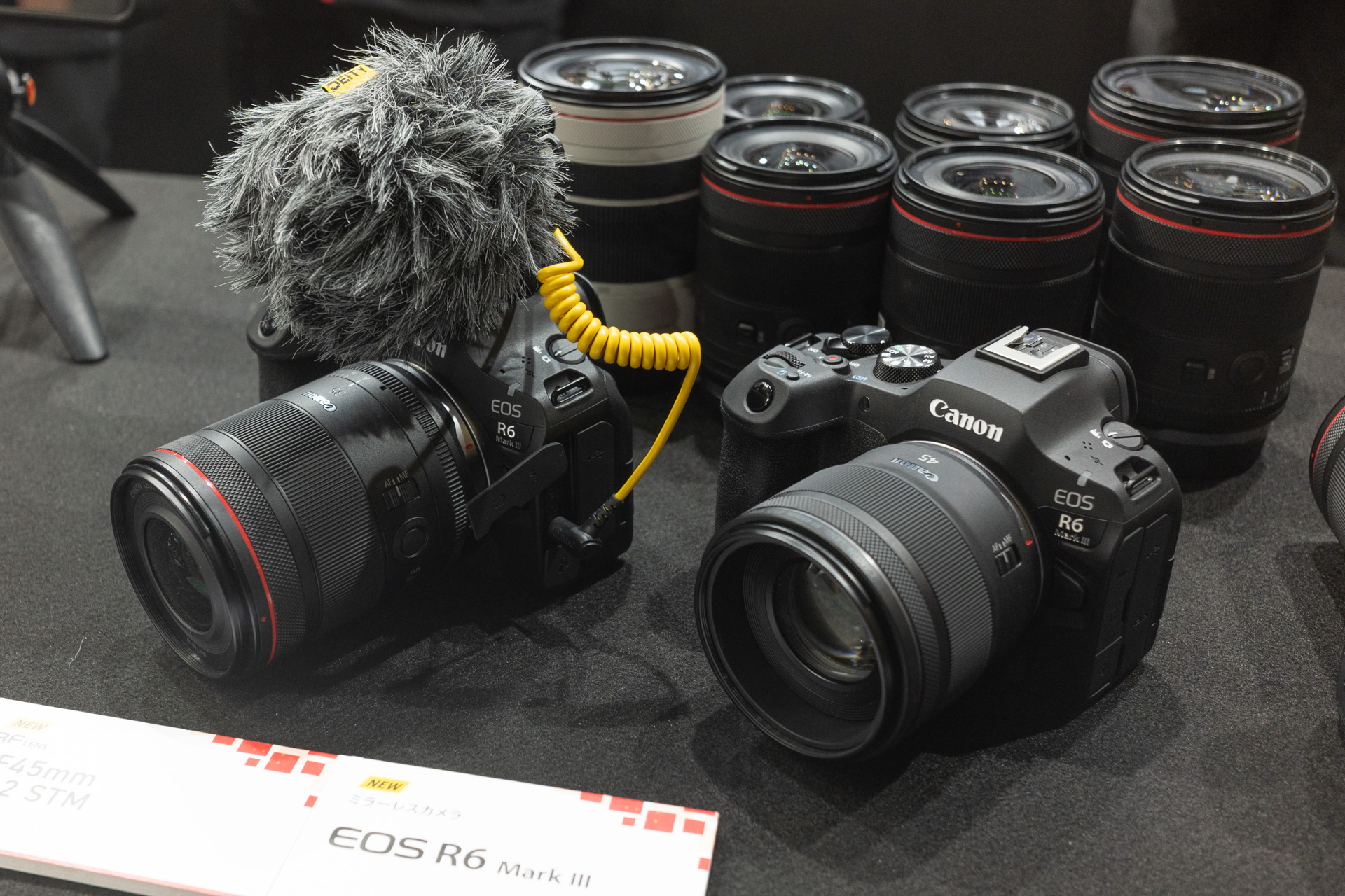 EOS R6 Mark III。右のボディにはRF45mm F1.2 STMが