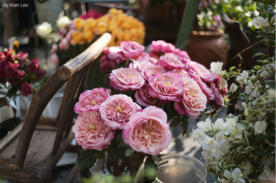 提供：E&Iクリエイション株式会社