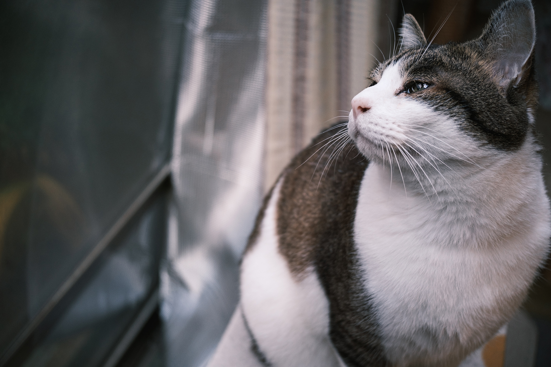 提供：株式会社焦点工房