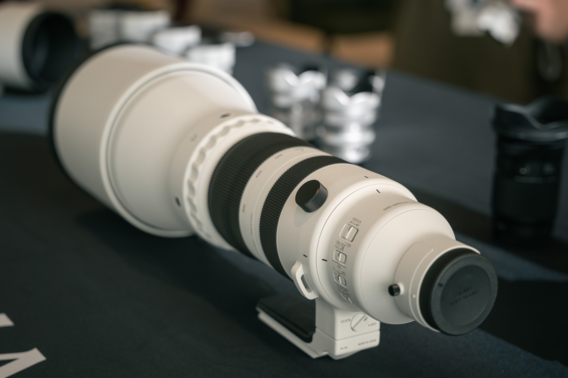 Sigma 300-600mm F4 DG OS｜Sports