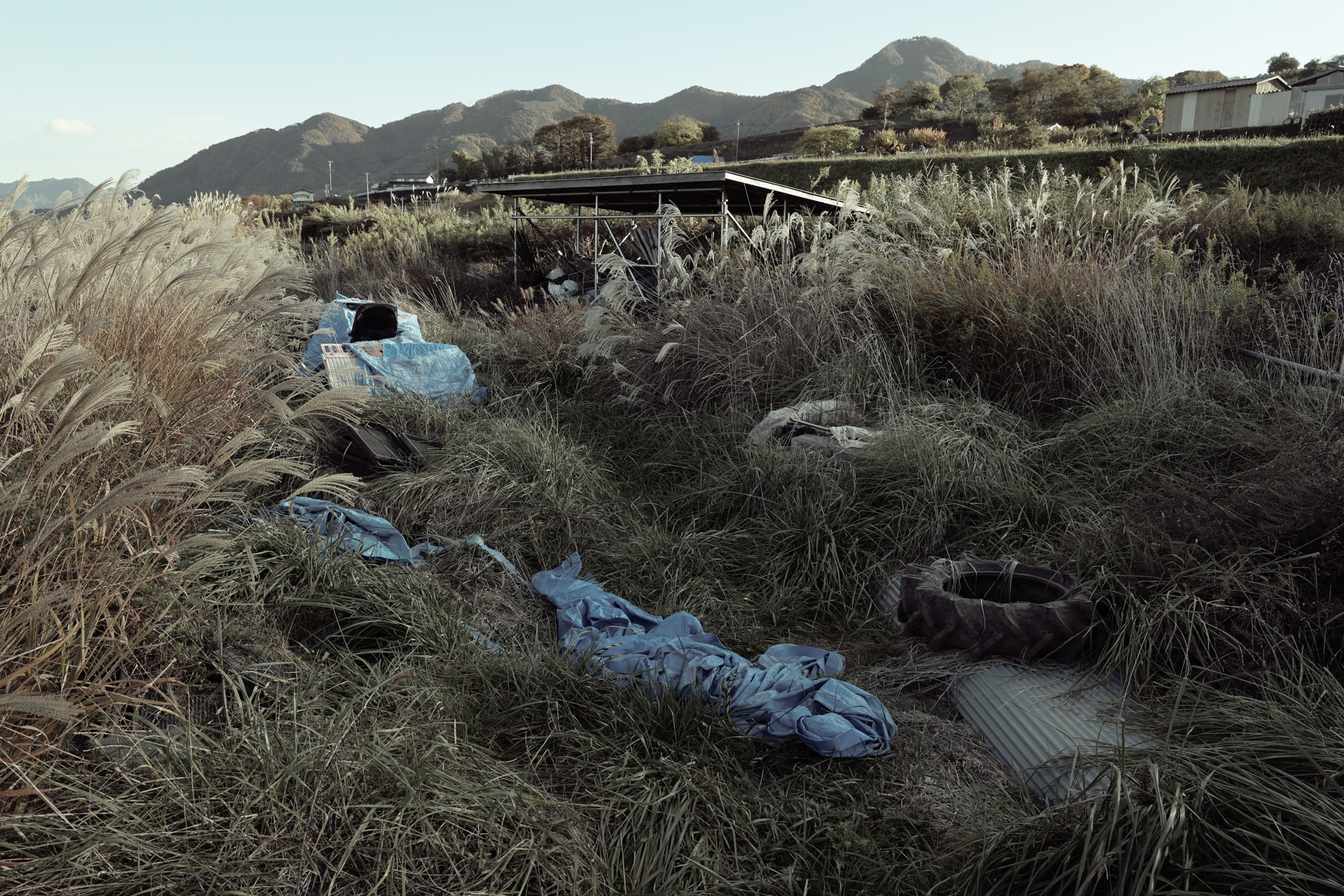 EOS R6 Mark III／RF24-70mm F2.8 L IS USM／27mm／絞り優先AE（1/100秒、F8、－1.33EV）／ISO 100