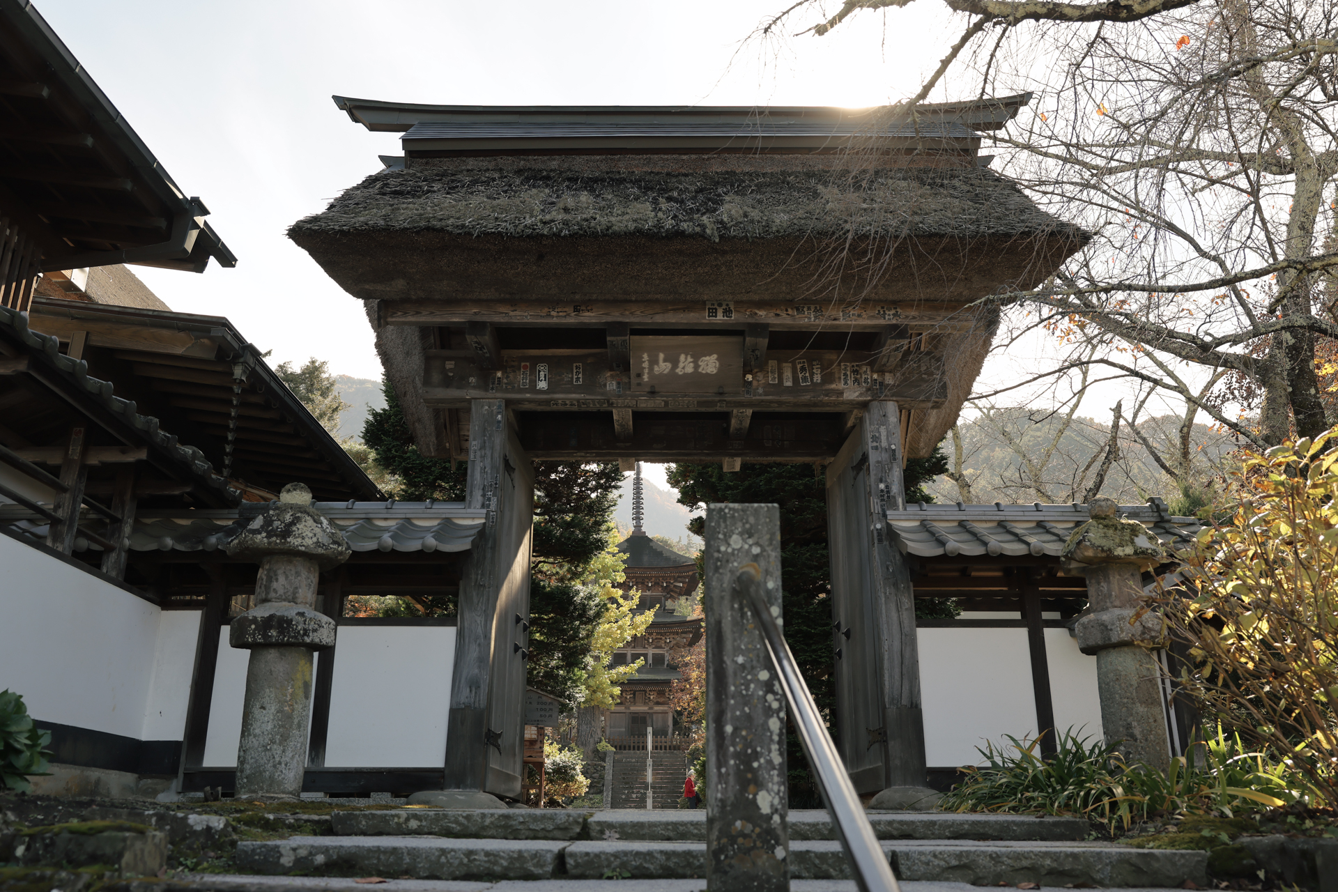 EOS R6 Mark III／RF24-70mm F2.8 L IS USM／30mm／シャッター優先AE（1/250秒、F4.5、－0.67EV）／ISO 100