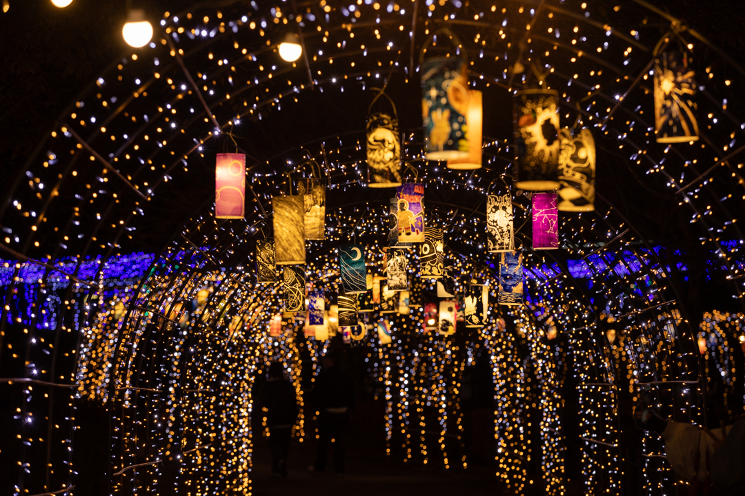 光のトンネル（昨年開催の様子）