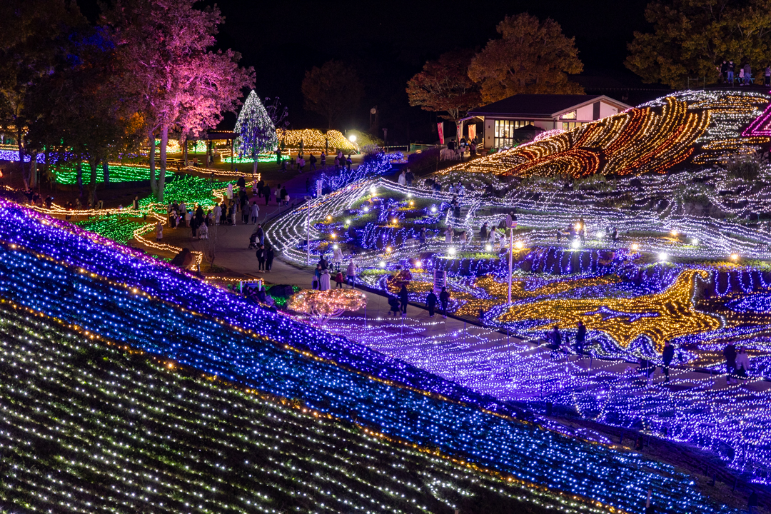 グランドイルミネーション（昨年開催の様子）
