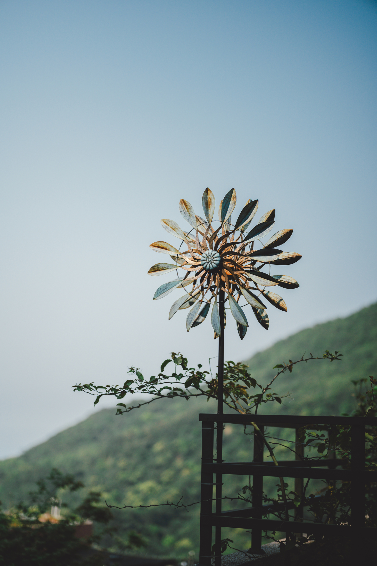 撮影サンプル（提供：株式会社焦点工房）