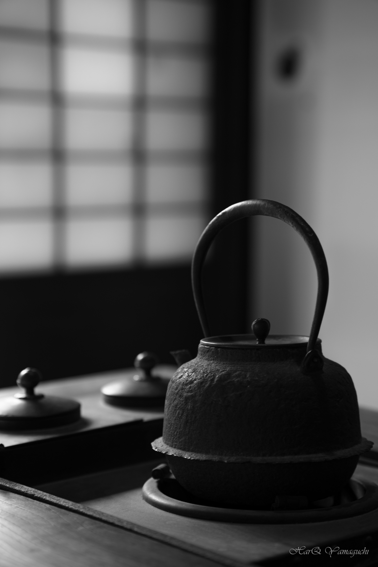 撮影サンプル（提供：株式会社焦点工房）