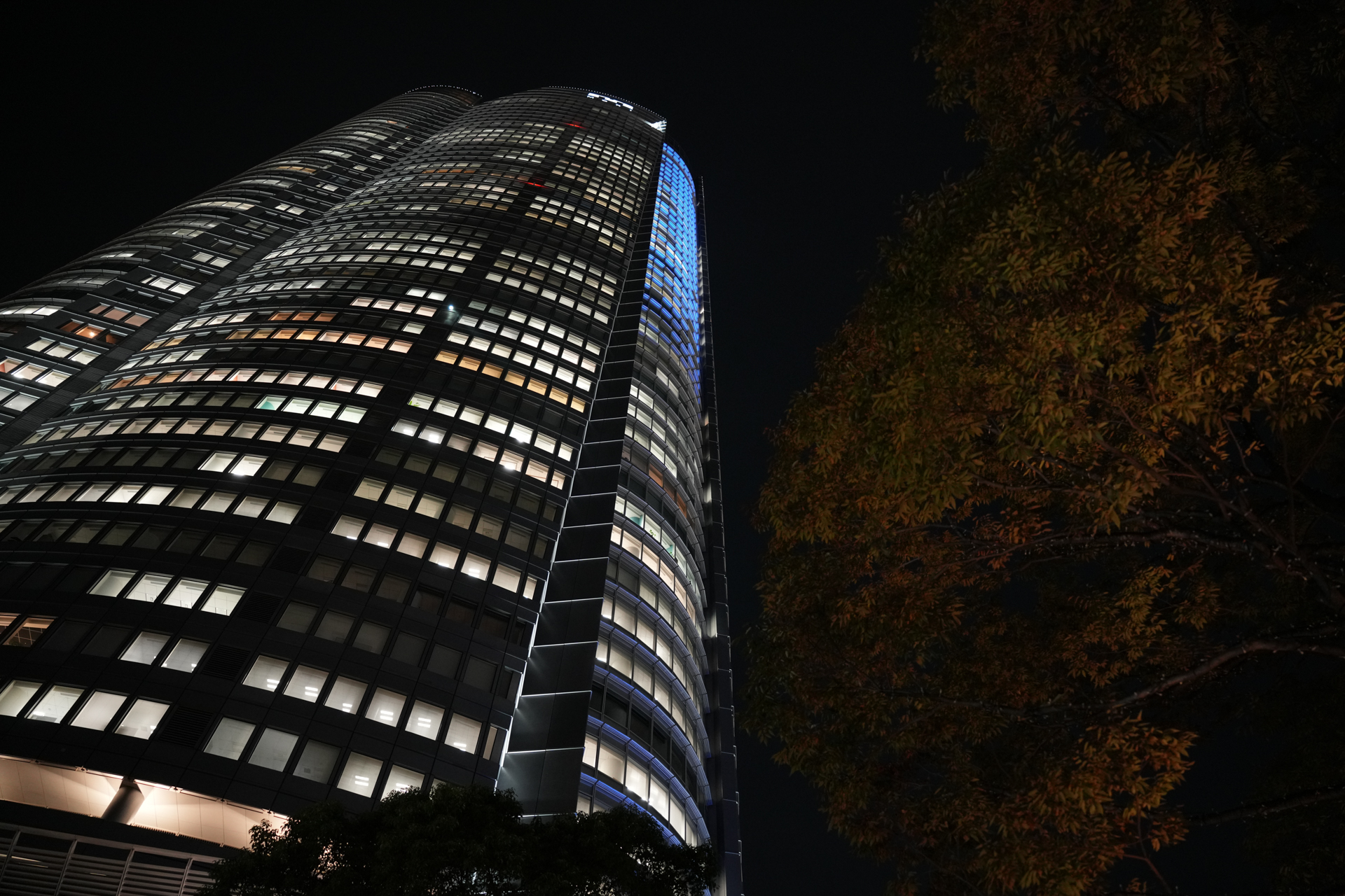 ソニー α7R V／25-200mm F/2.8-5.6 Di III VXD G2／25mm／マニュアル露出（1/30秒、F2.8）／ISO 2500