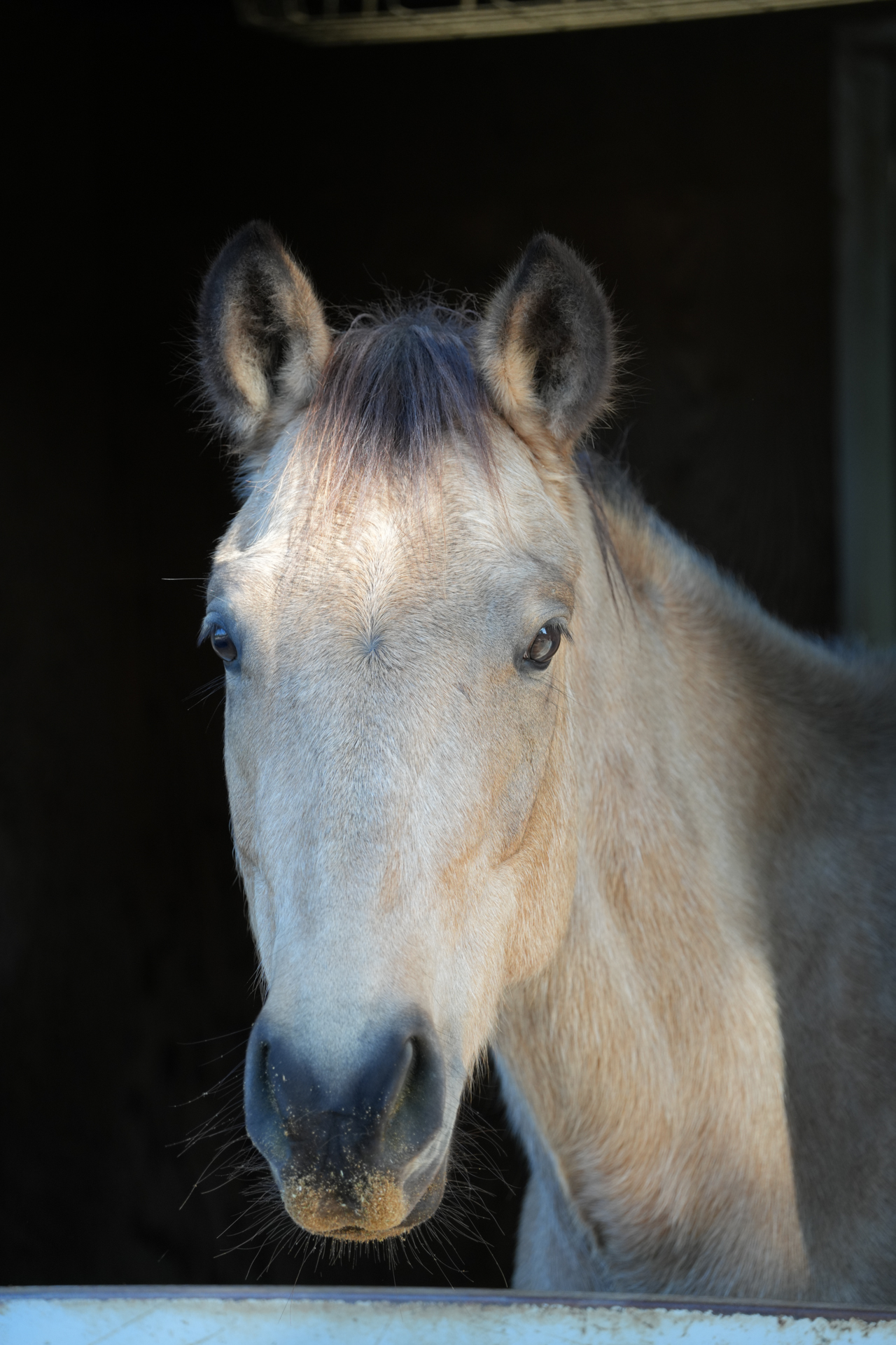 ソニー α7R V／25-200mm F/2.8-5.6 Di III VXD G2／157mm／マニュアル露出（1/160秒、F5.6）／ISO 500