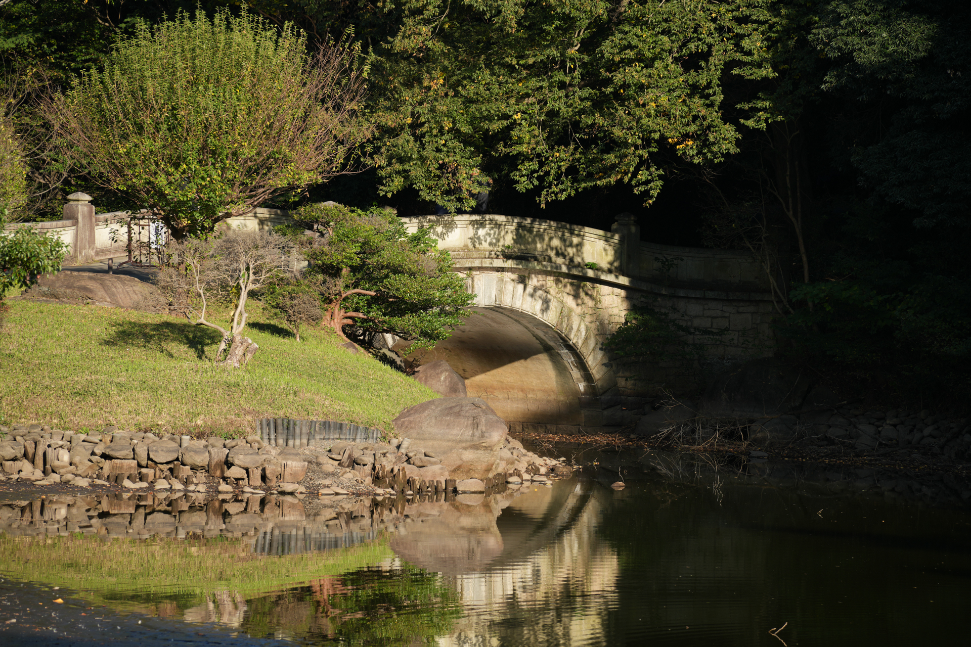 ソニー α7R V／25-200mm F/2.8-5.6 Di III VXD G2／200mm／マニュアル露出（1/250秒、F8.0）／ISO 200