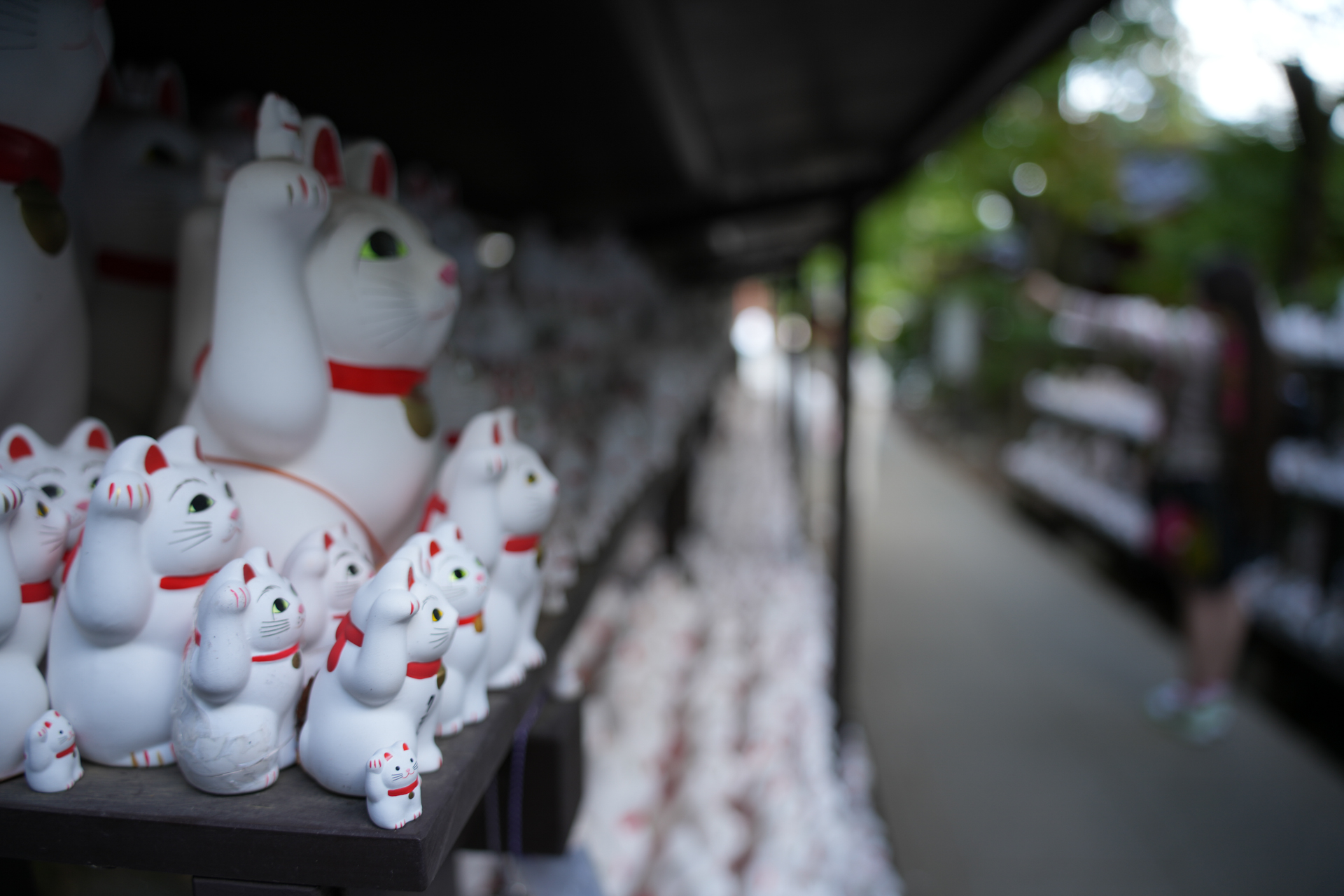 ソニー α7R V／25-200mm F/2.8-5.6 Di III VXD G2／25mm／マニュアル露出（1/50秒、F2.8）／ISO 100