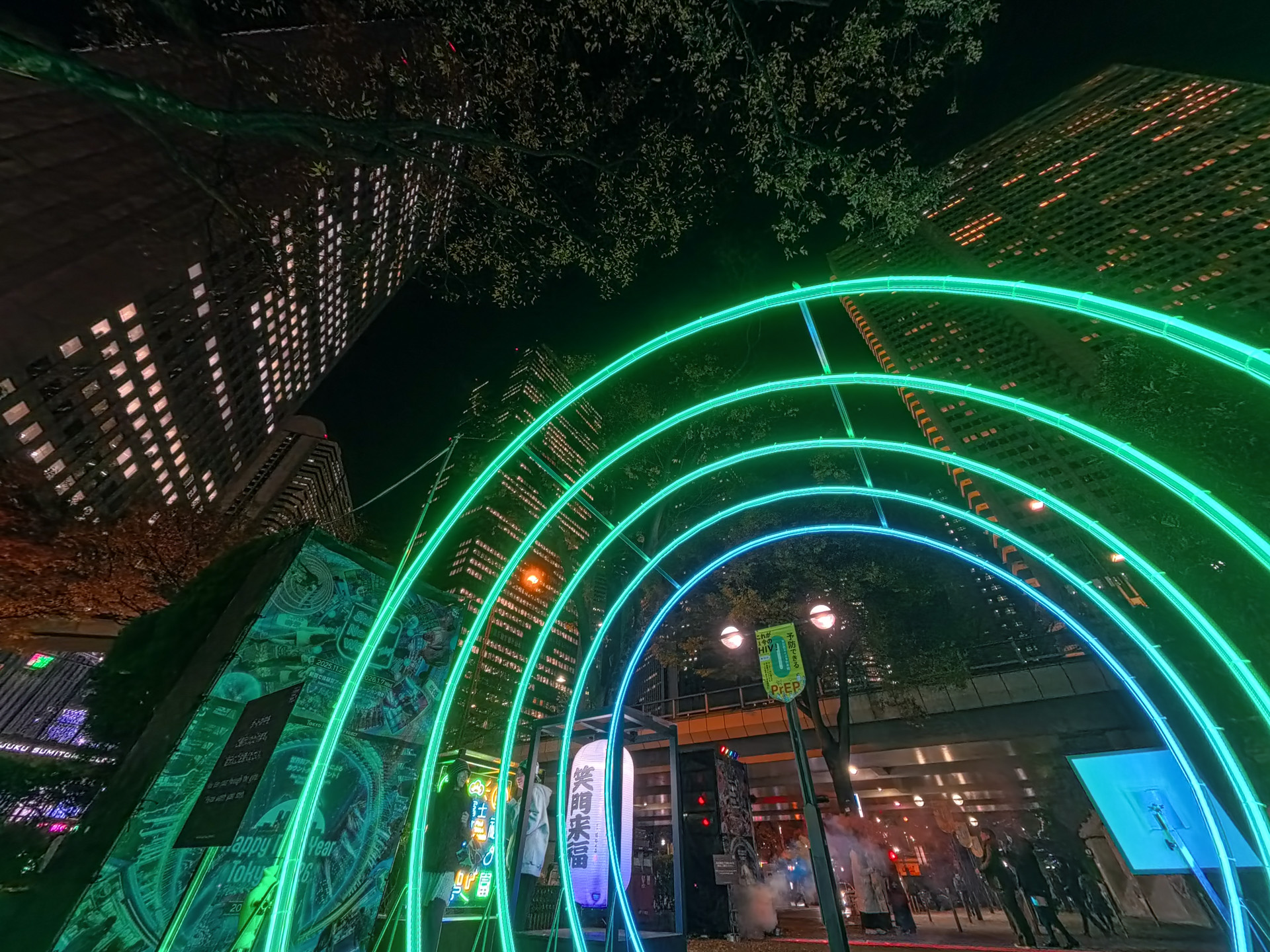 光の輪から見上げて撮るのも面白い