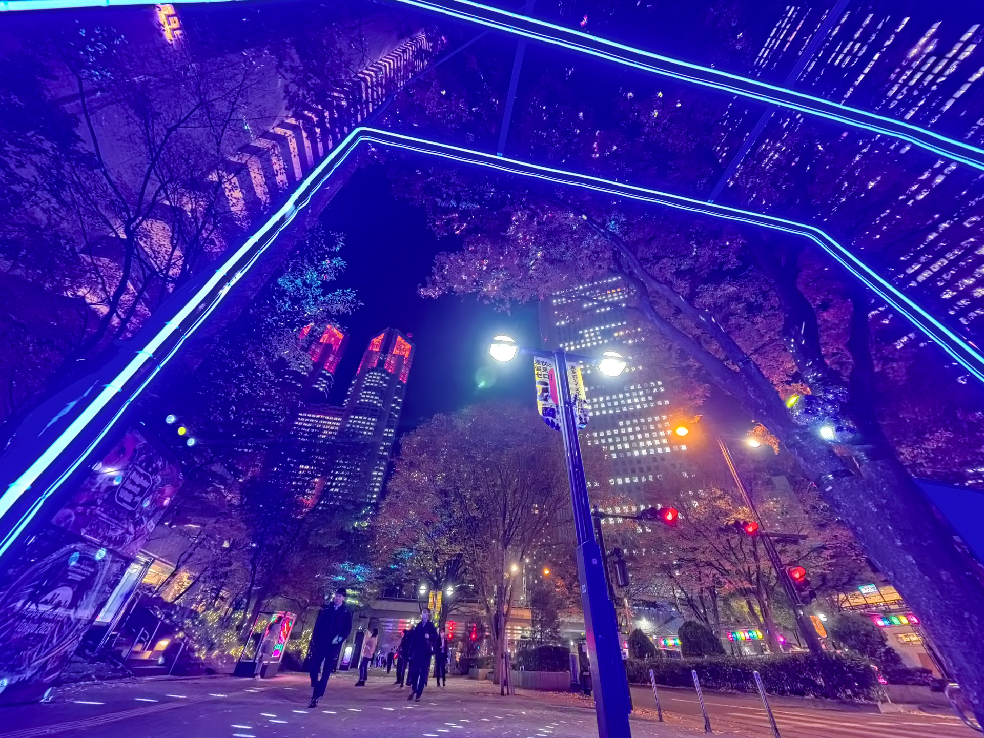 よく見ると木の葉が光っており星空のよう