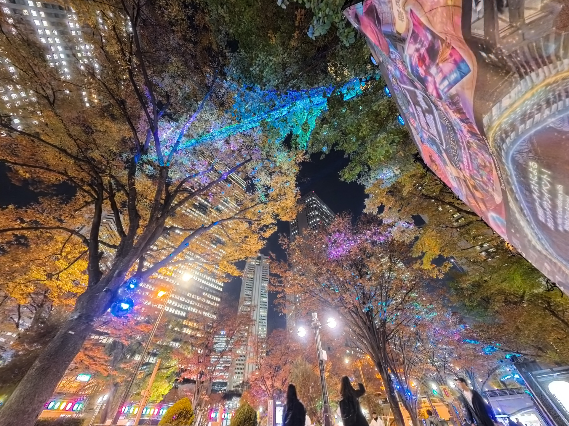 高層ビルを背景にするのも絵になる