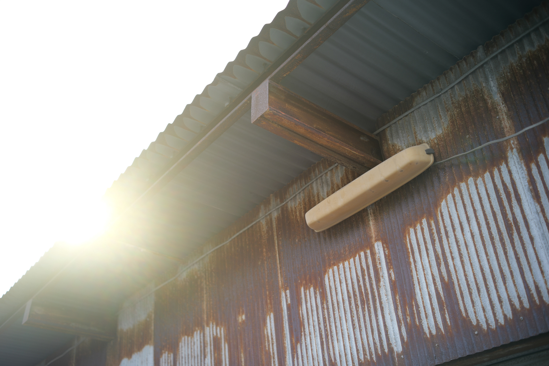 パナソニック LUMIX S5II／TTArtisan AF 40mm f/2／プログラムAE（1/200秒、F2.5）／ISO 100