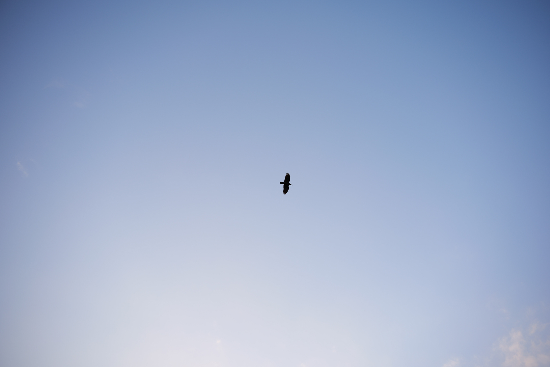 パナソニック LUMIX S5II／TTArtisan AF 40mm f/2／プログラムAE（1/320秒、F3.2）／ISO 100