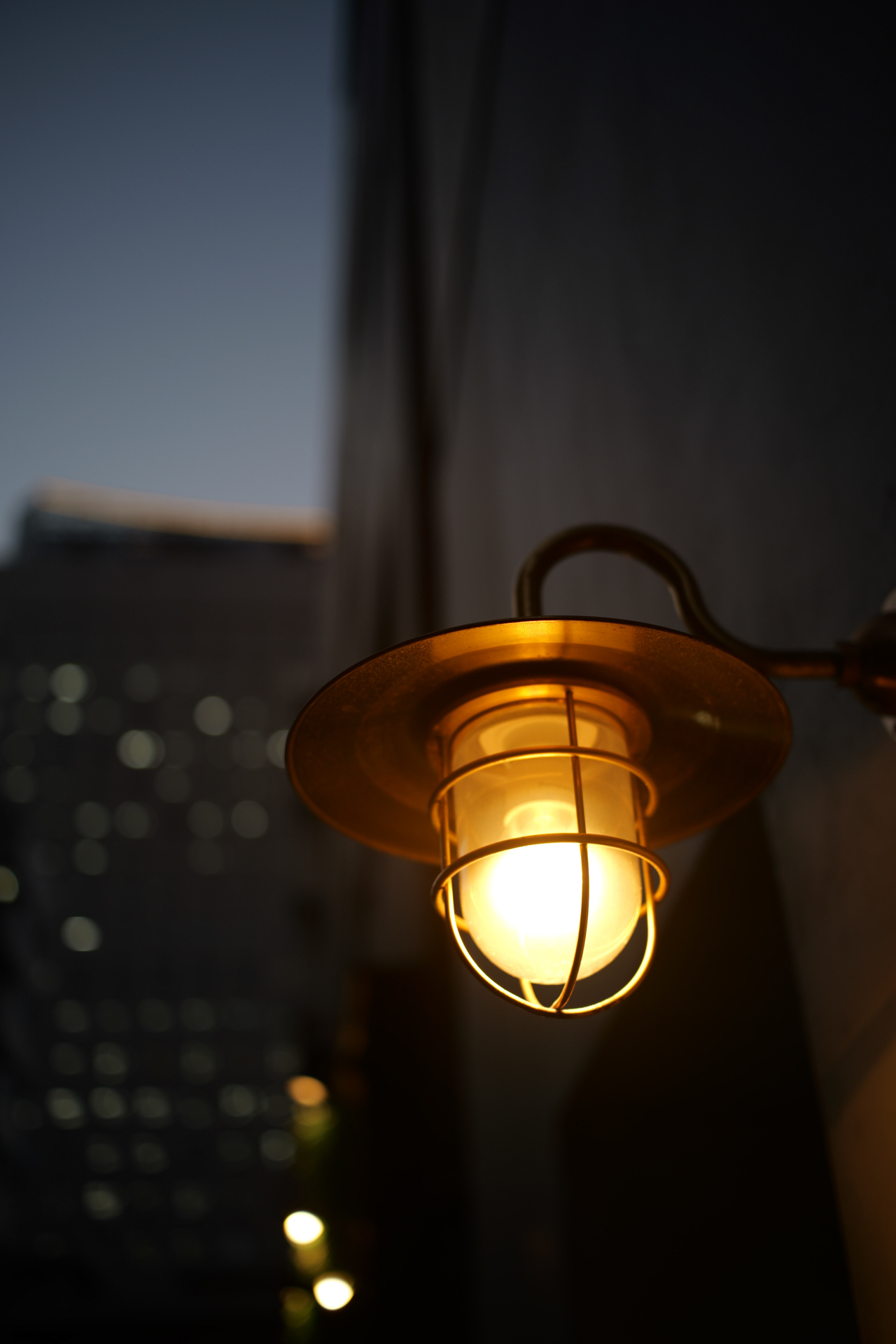 パナソニック LUMIX S5II／TTArtisan AF 40mm f/2／プログラムAE（1/100秒、F2.0）／ISO 100