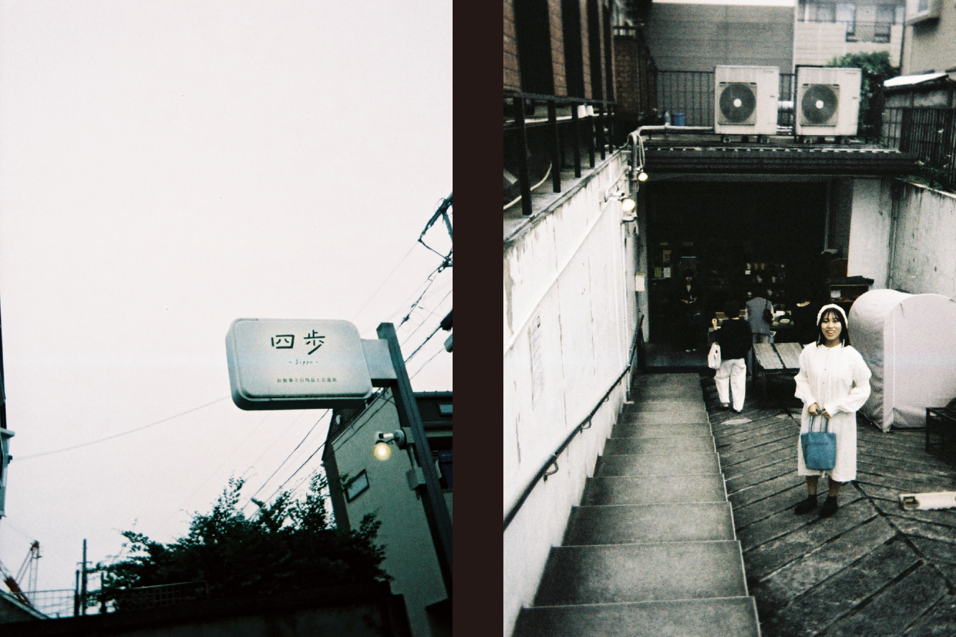 撮影例：ナカバヤシ提供